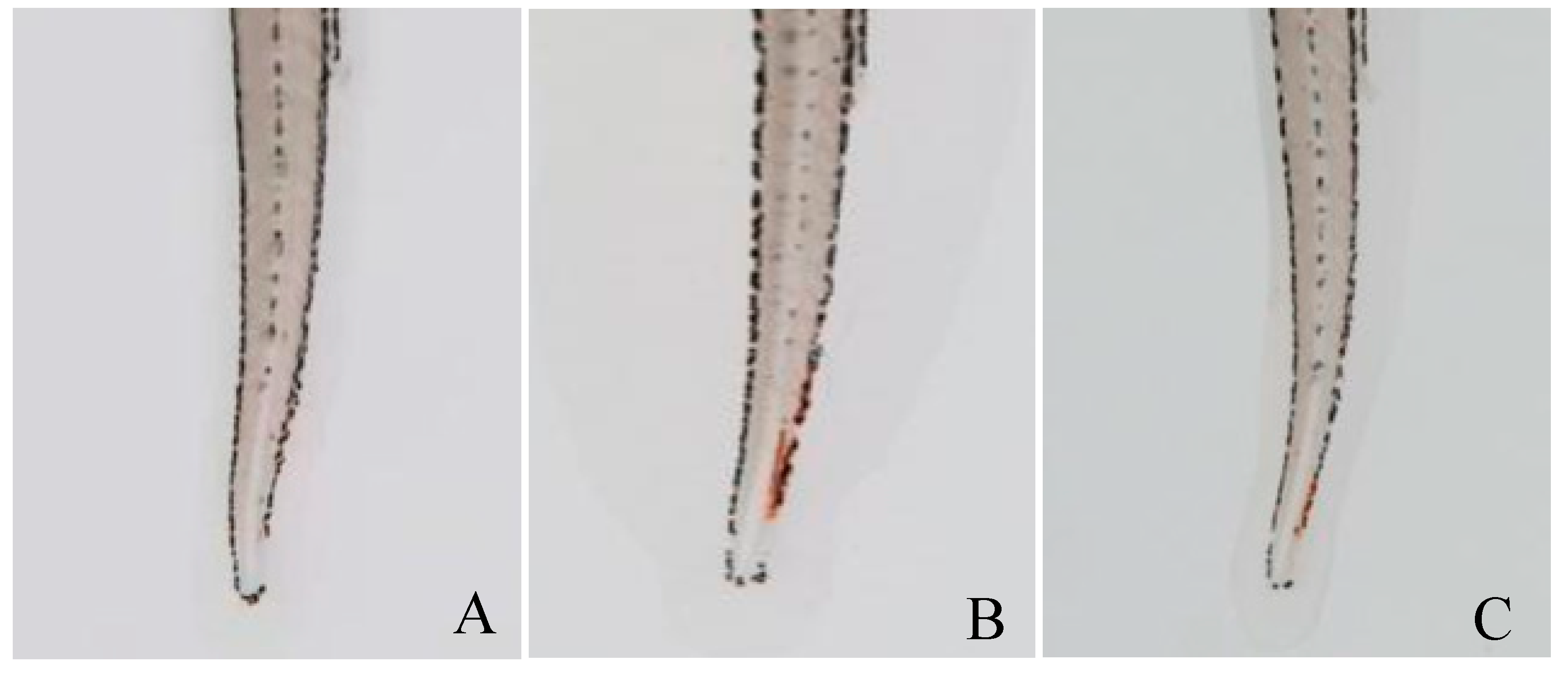Molecules 26 04946 g003