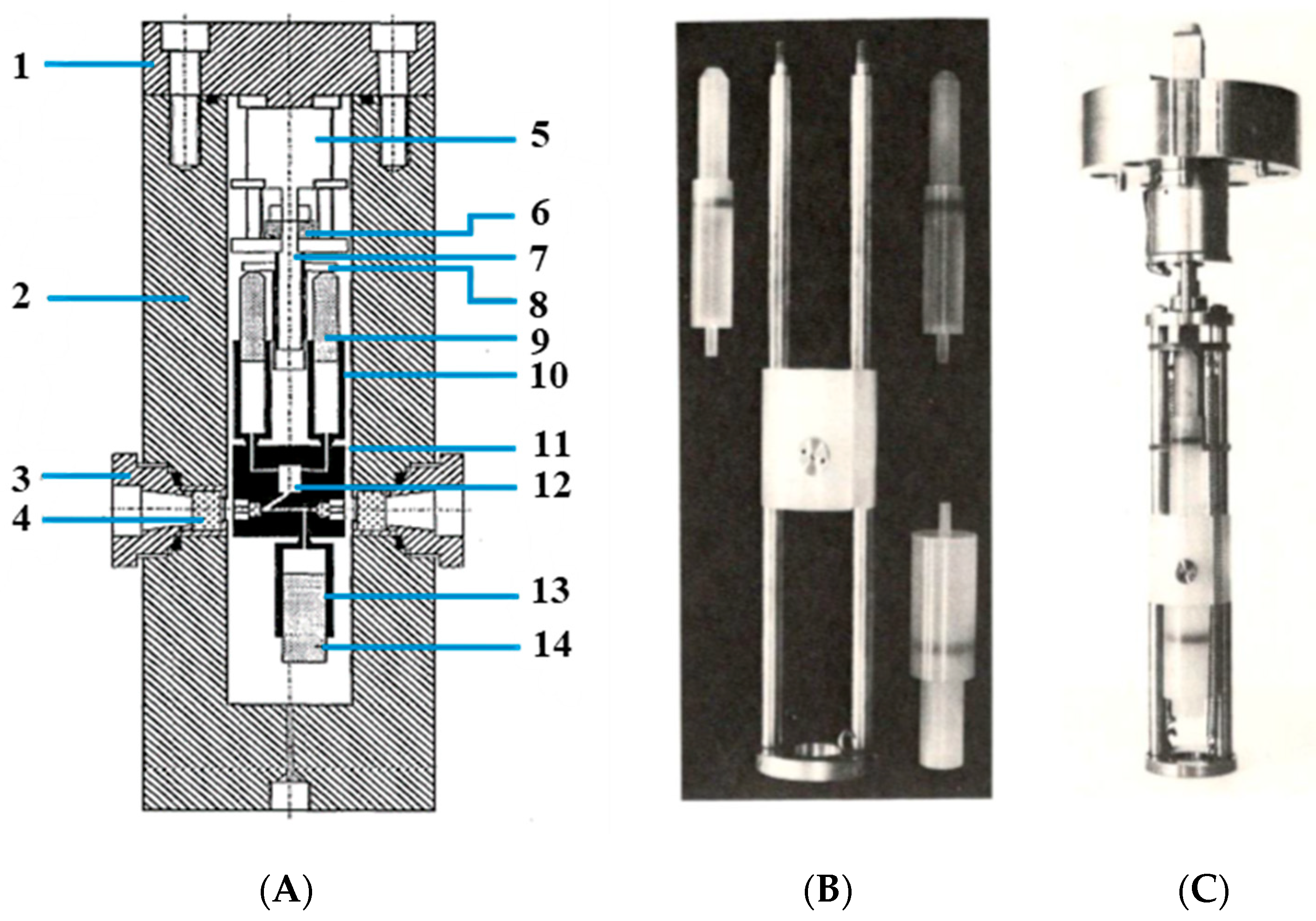 Molecules 26 04947 g003 550