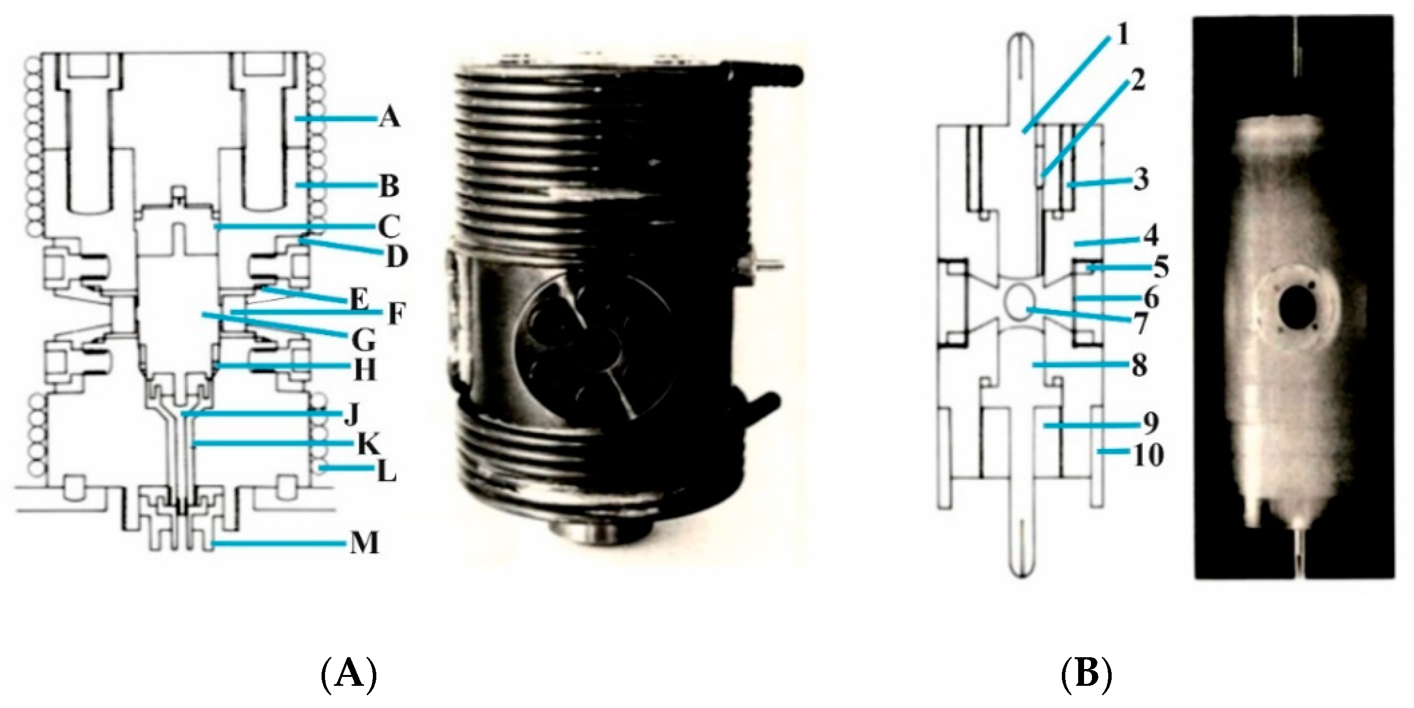 Molecules 26 04947 g009 550