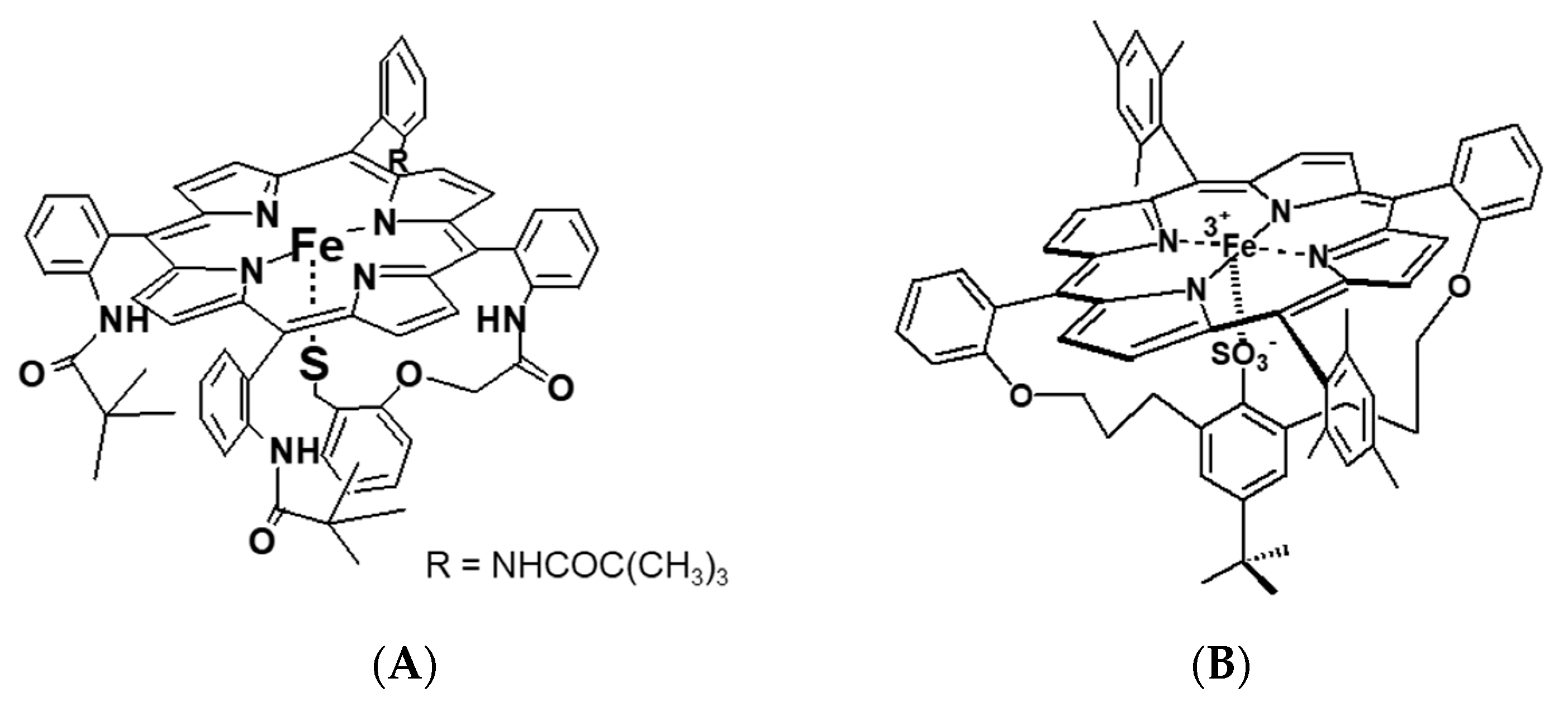 Molecules 26 04947 g012 550