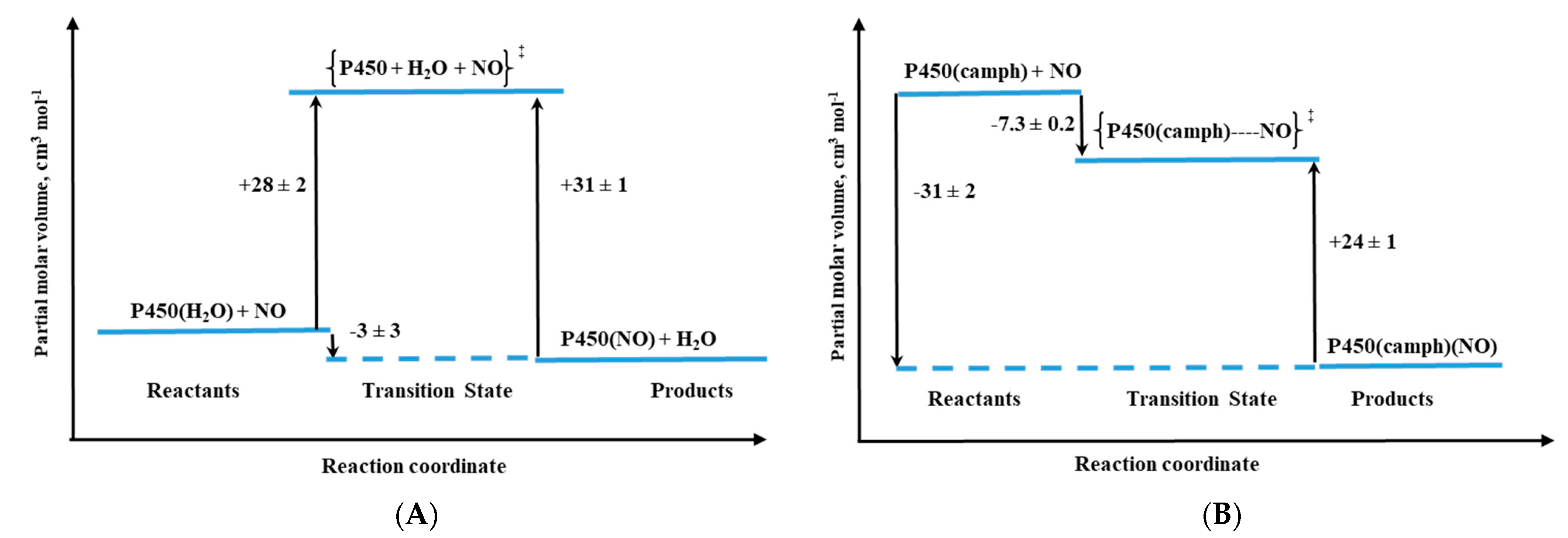 Molecules 26 04947 g013 550