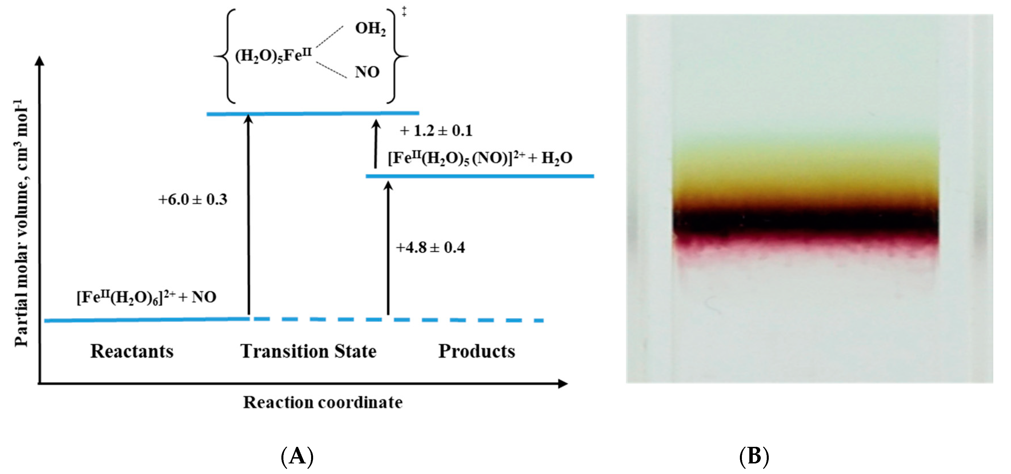 Molecules 26 04947 g015 550