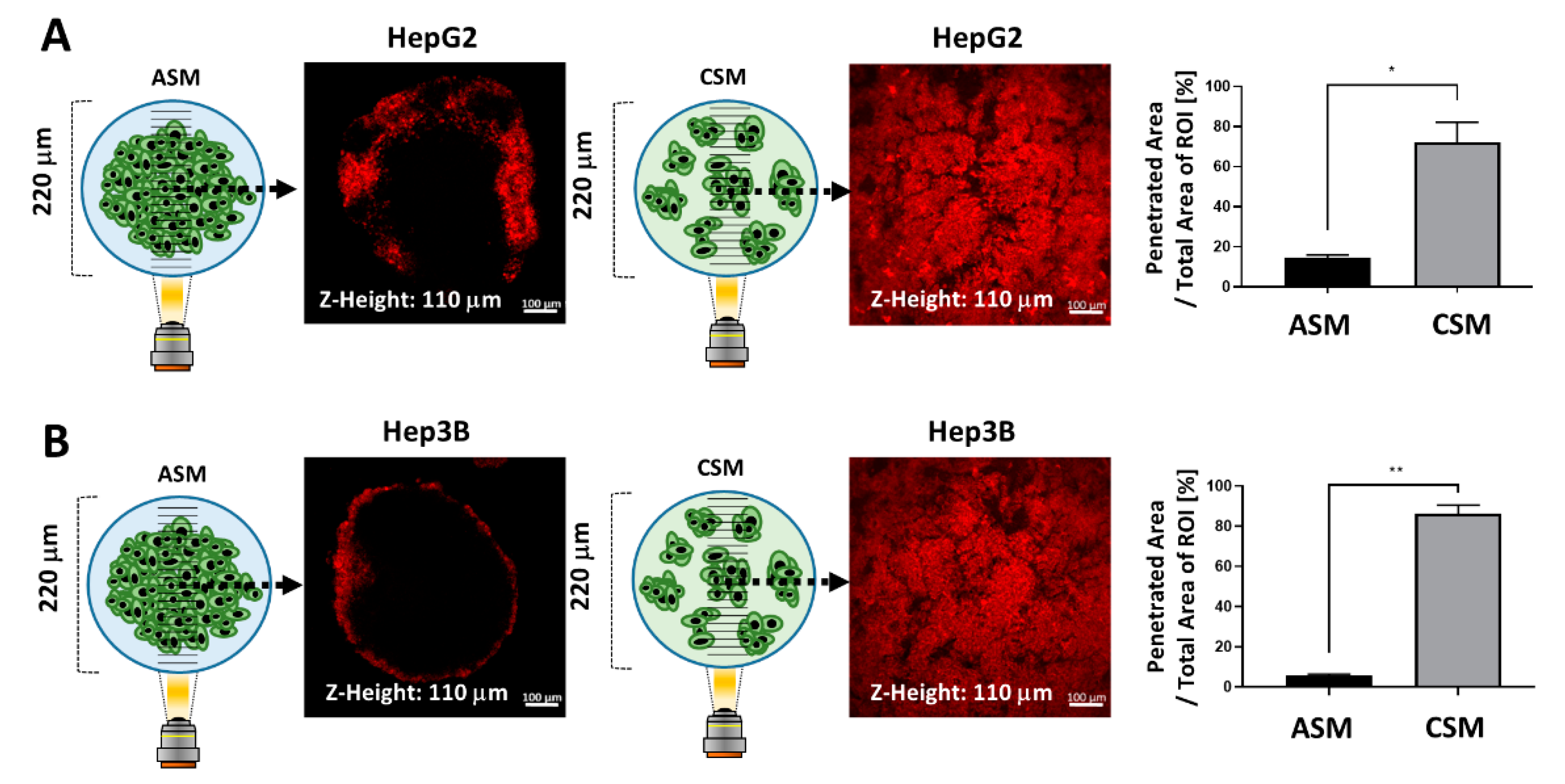 Molecules 26 04949 g006 550