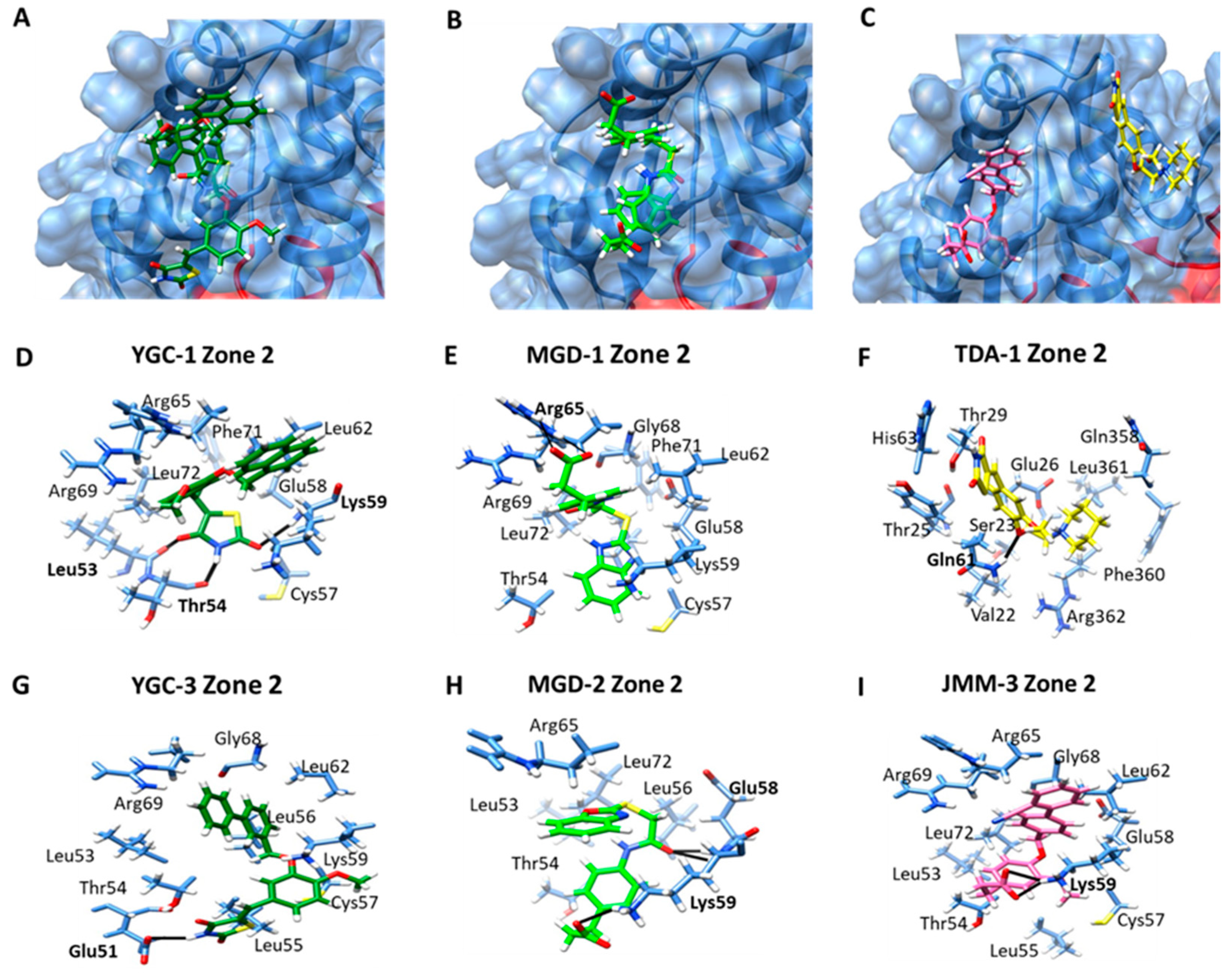 Molecules 26 04955 g007