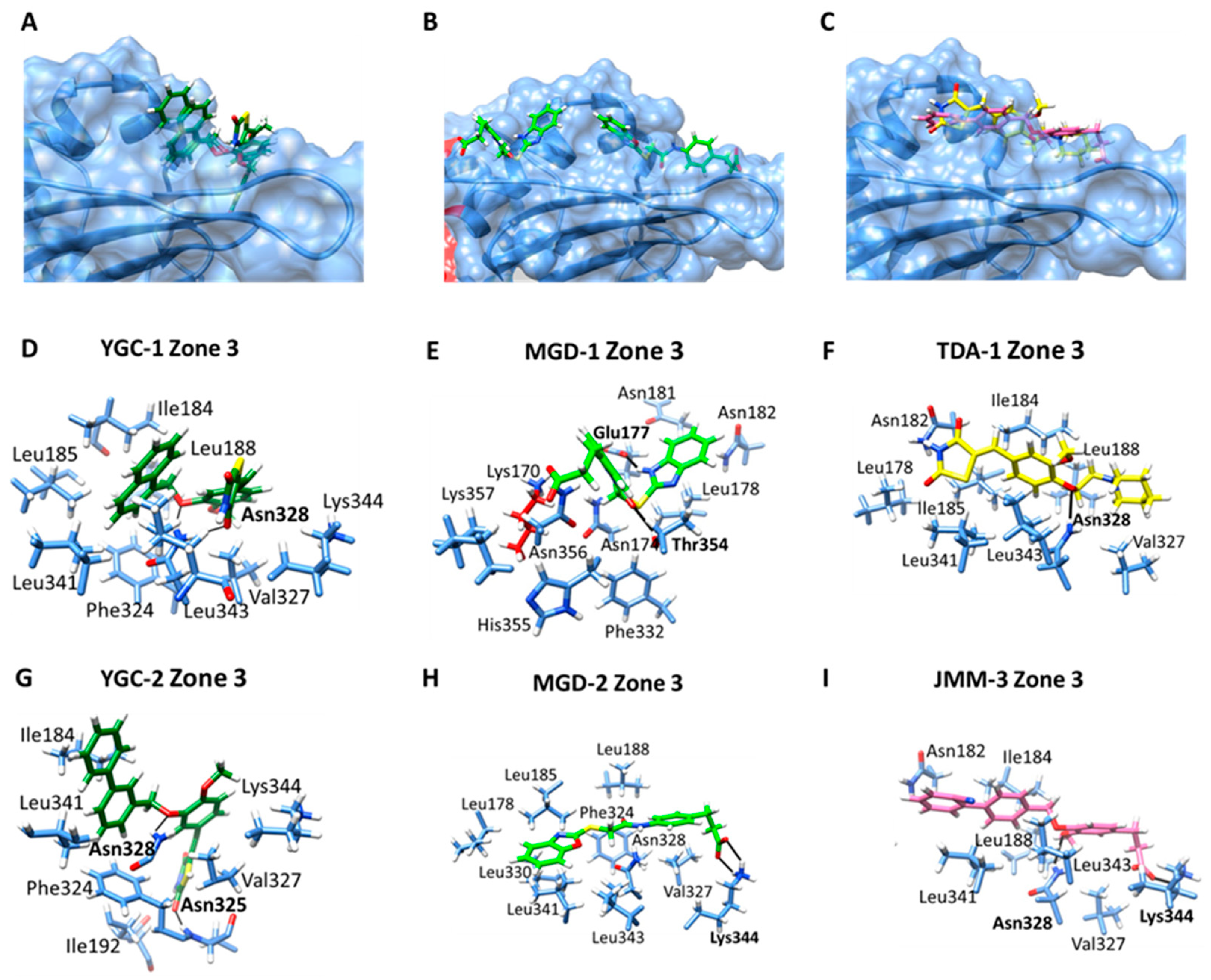 Molecules 26 04955 g008