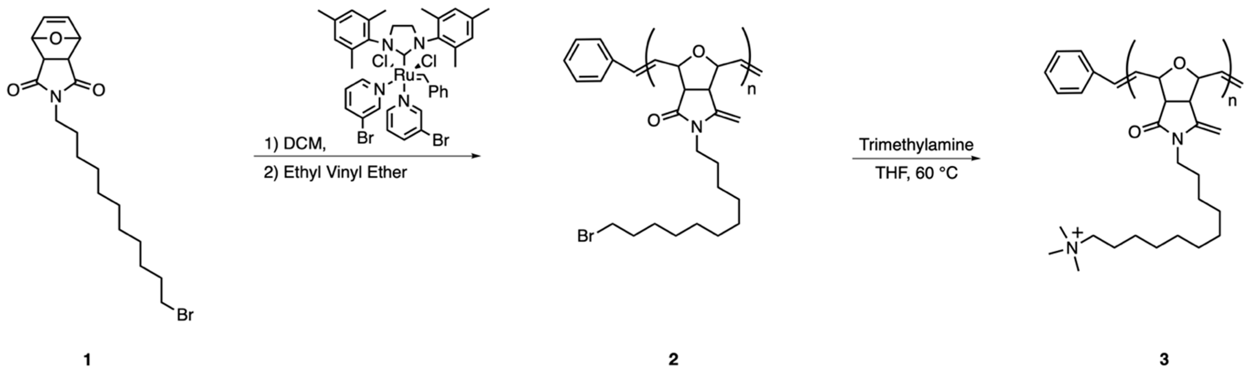 Molecules 26 04958 sch002 550