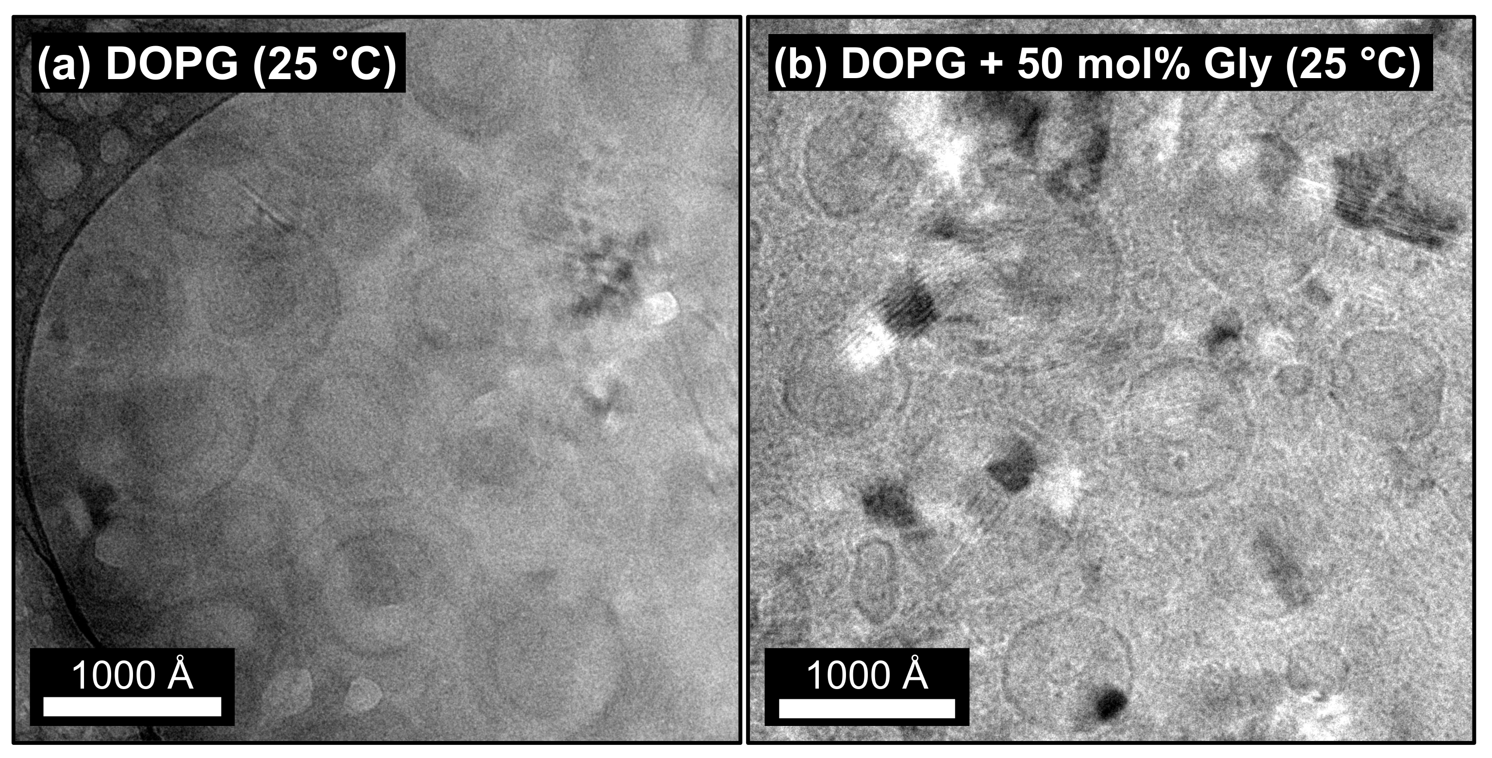 Molecules 26 04959 g002 Molecules 26 04959 g002