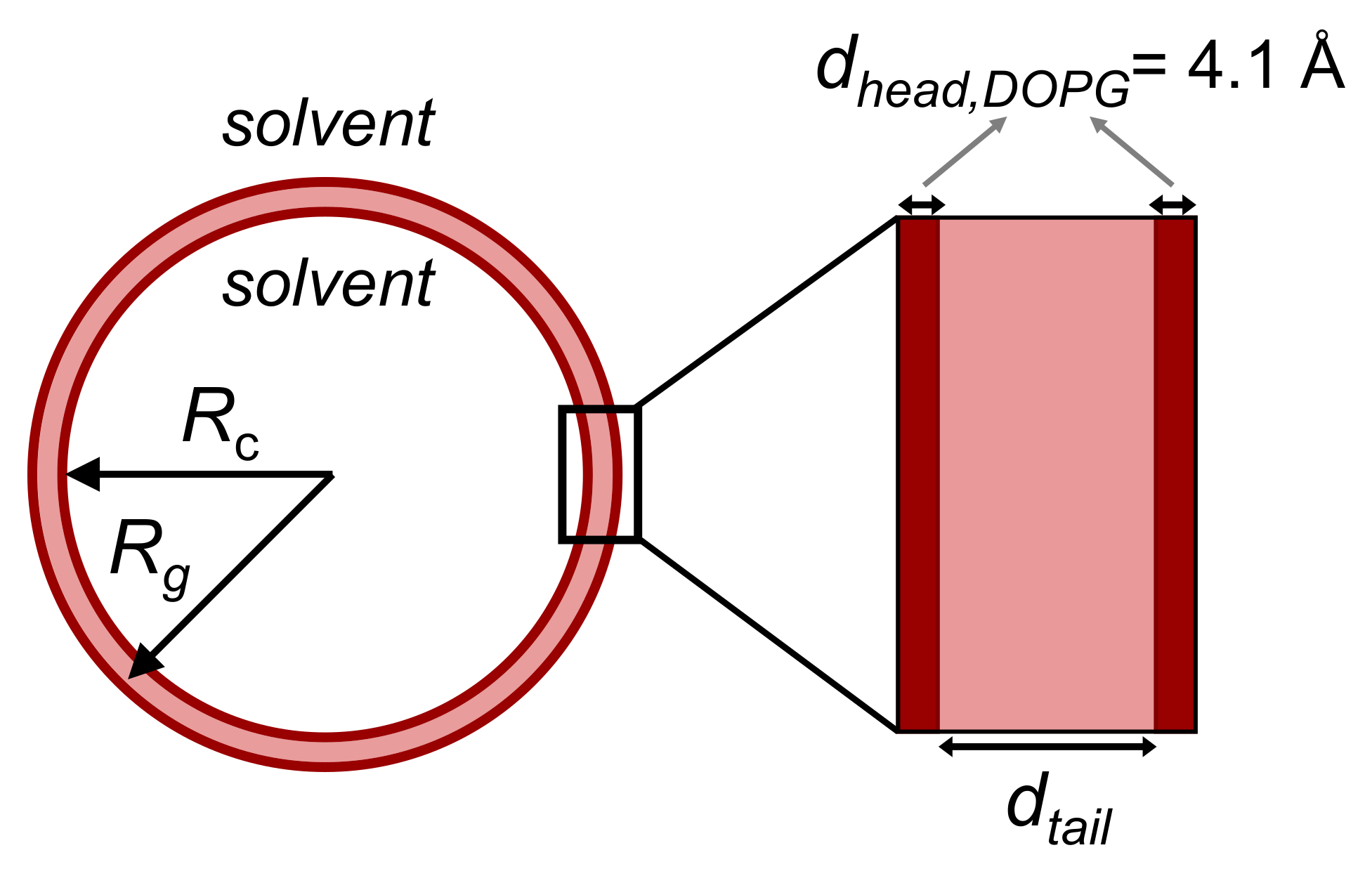 Molecules 26 04959 g007 Molecules 26 04959 g007