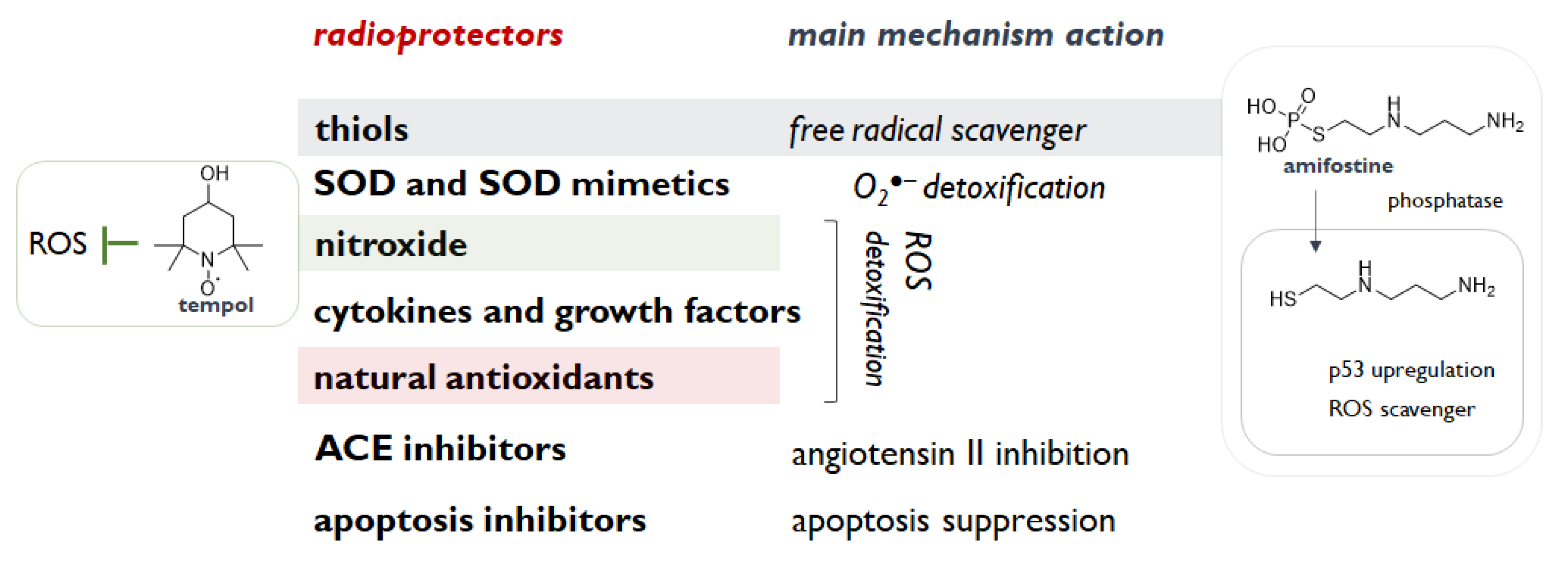 Molecules 26 04969 g002