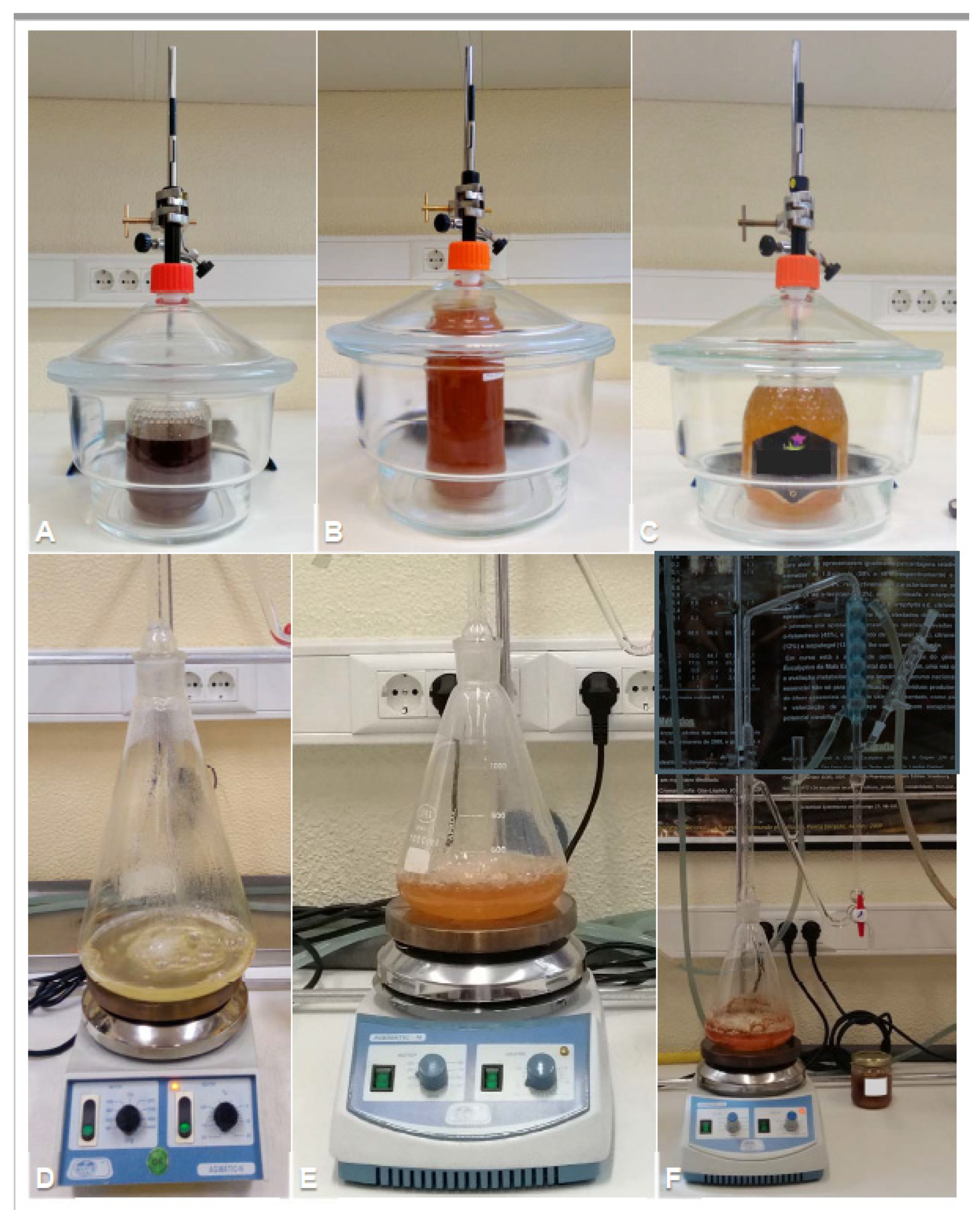 Molecules 26 04970 g001