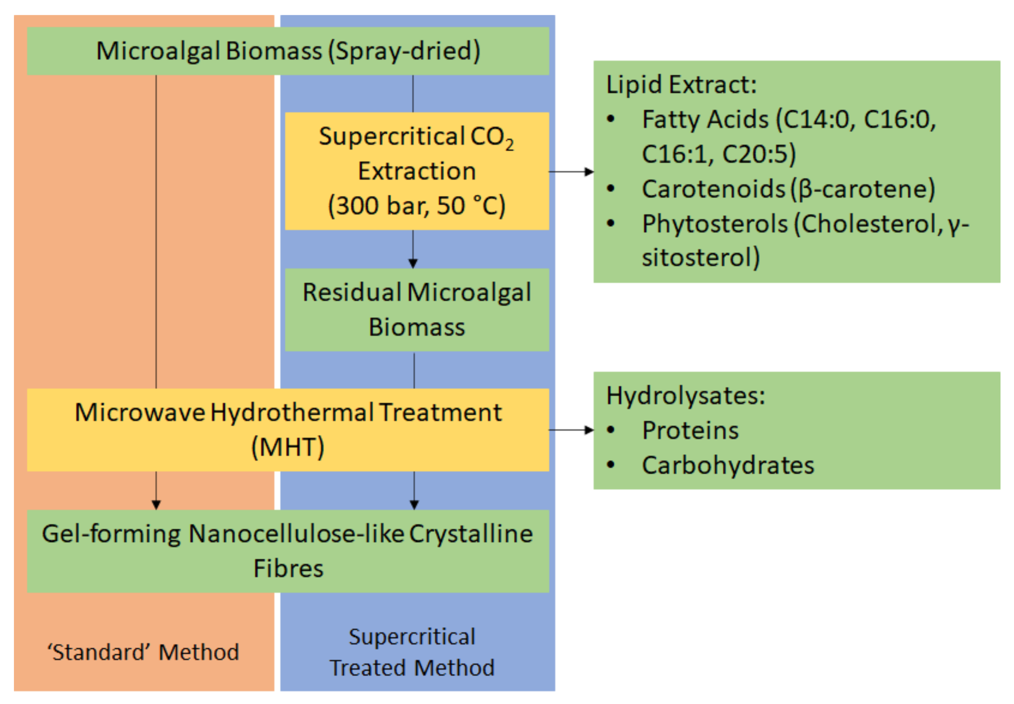Molecules 26 04972 g001