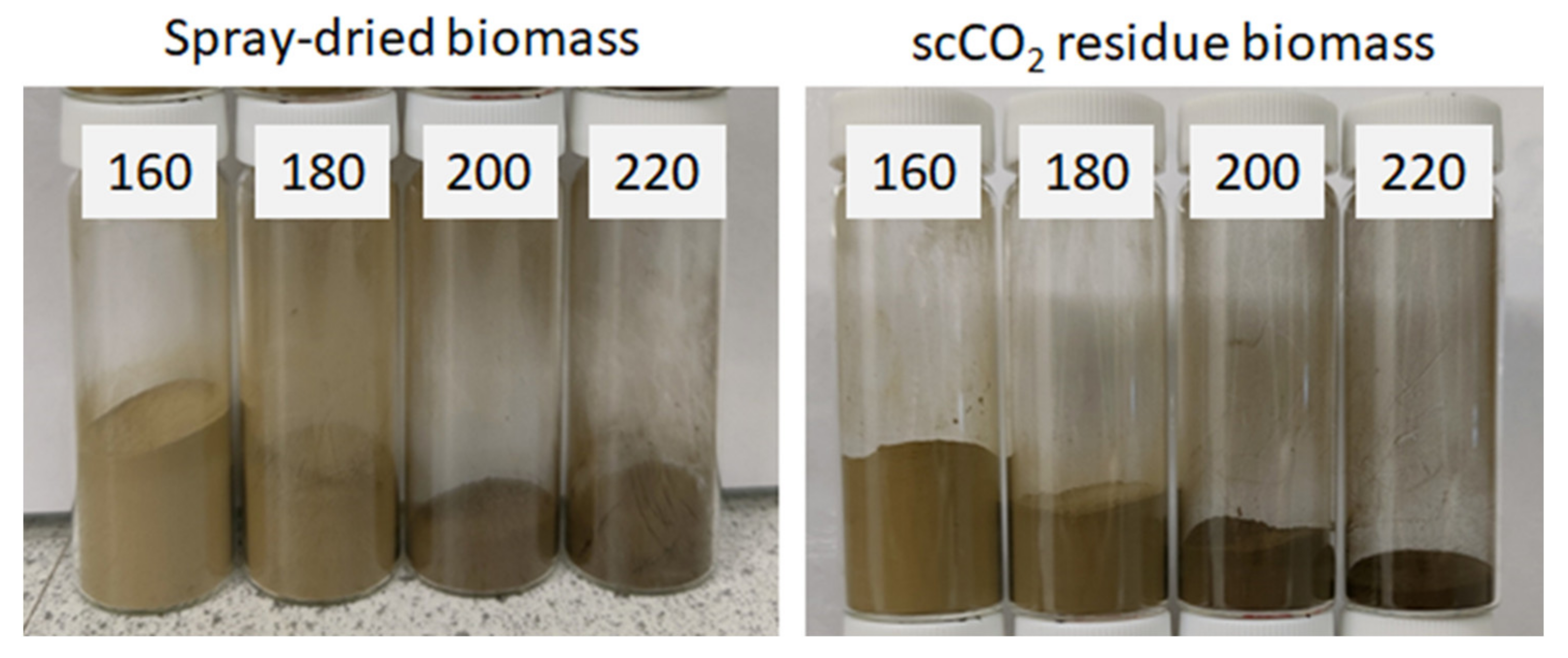 Molecules 26 04972 g002
