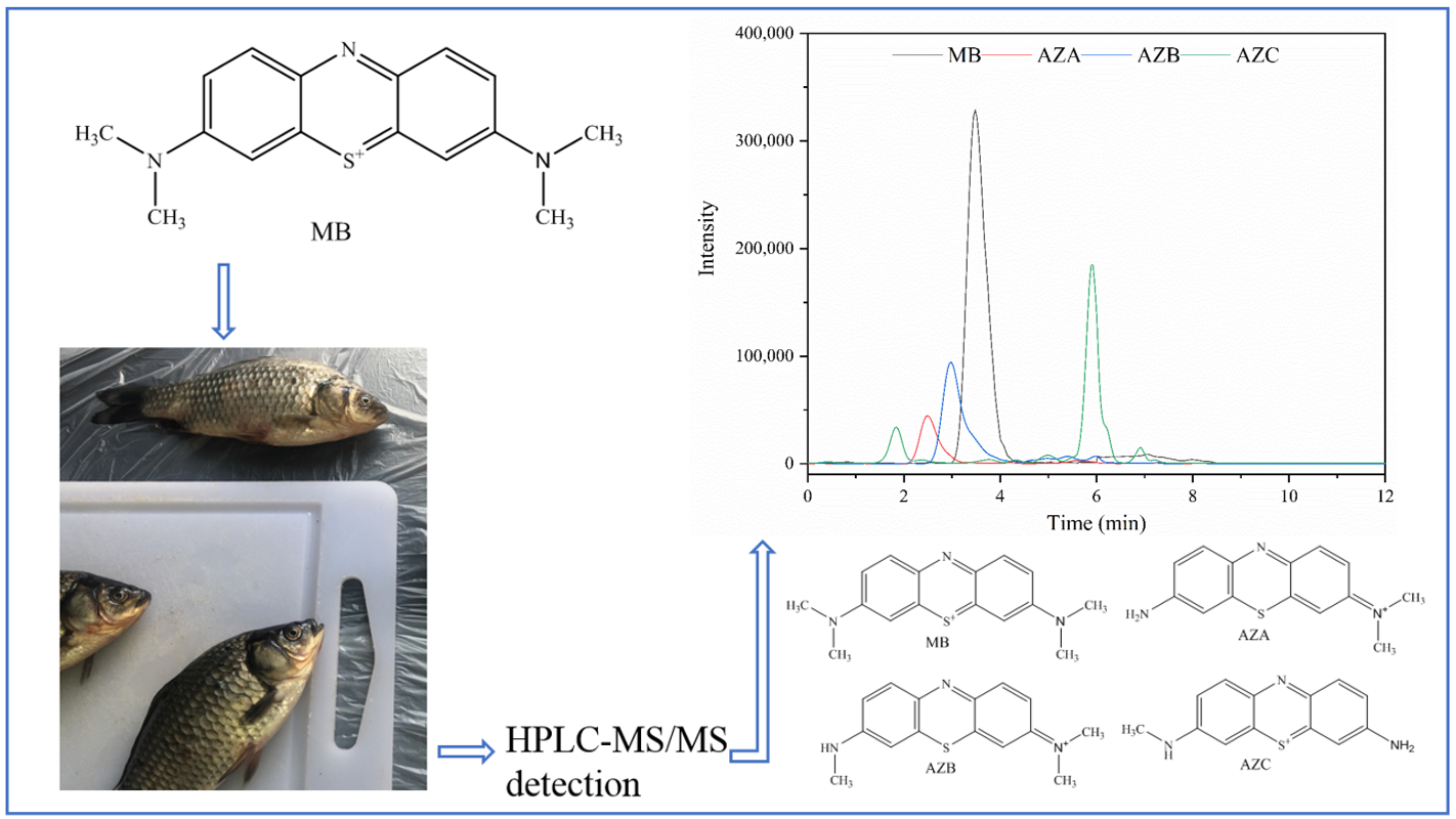 Molecules Free Full Text Determination Of Methylene Blue And Its Metabolite Residues In Aquatic Products By High Performance Liquid Chromatography Tandem Mass Spectrometry Html Molecules Free Full Text Determination Of Methylene Blue And Its Metabolite Residues In Aquatic Products By High Performance Liquid Chromatography Tandem Mass Spectrometry Html
