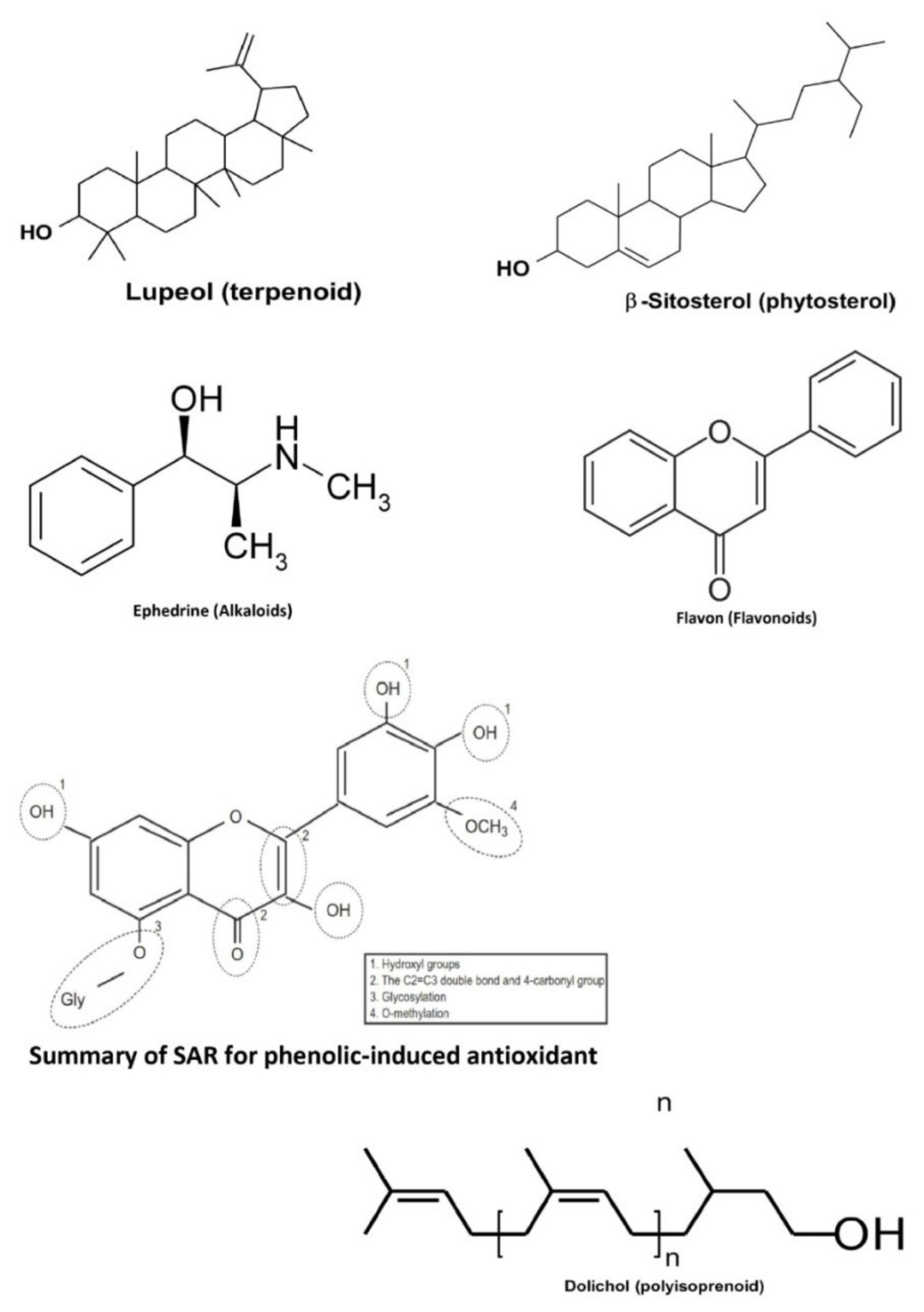 Molecules 26 04984 g002 Molecules 26 04984 g002