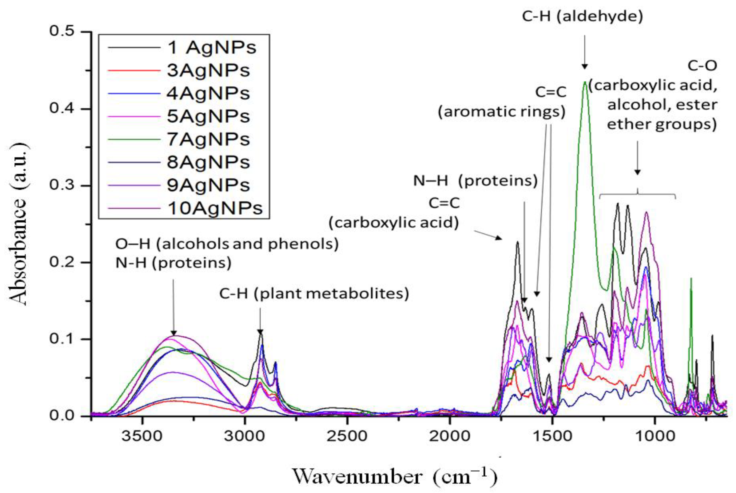Molecules 26 04986 g004
