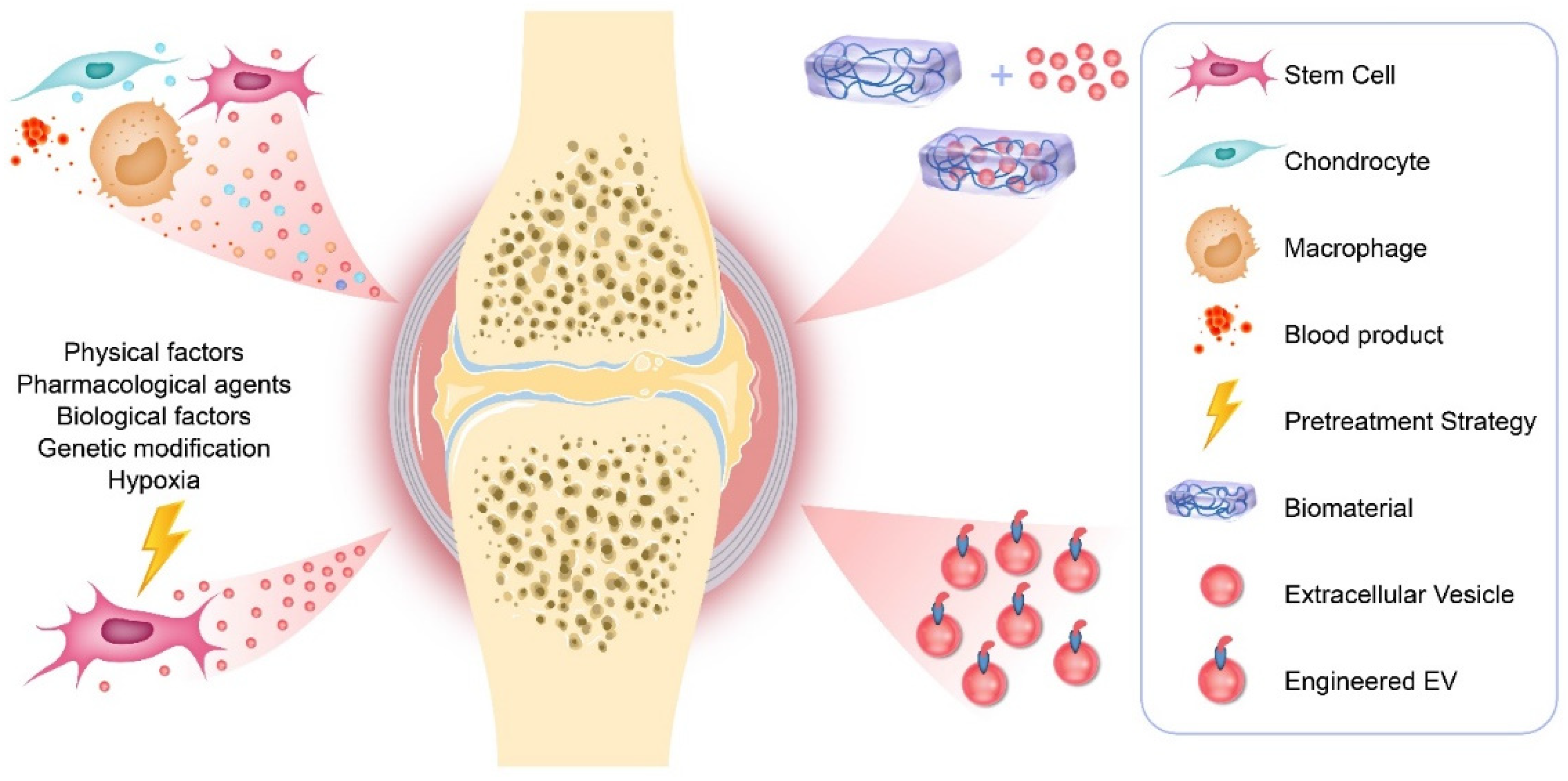 Molecules 26 04987 g001
