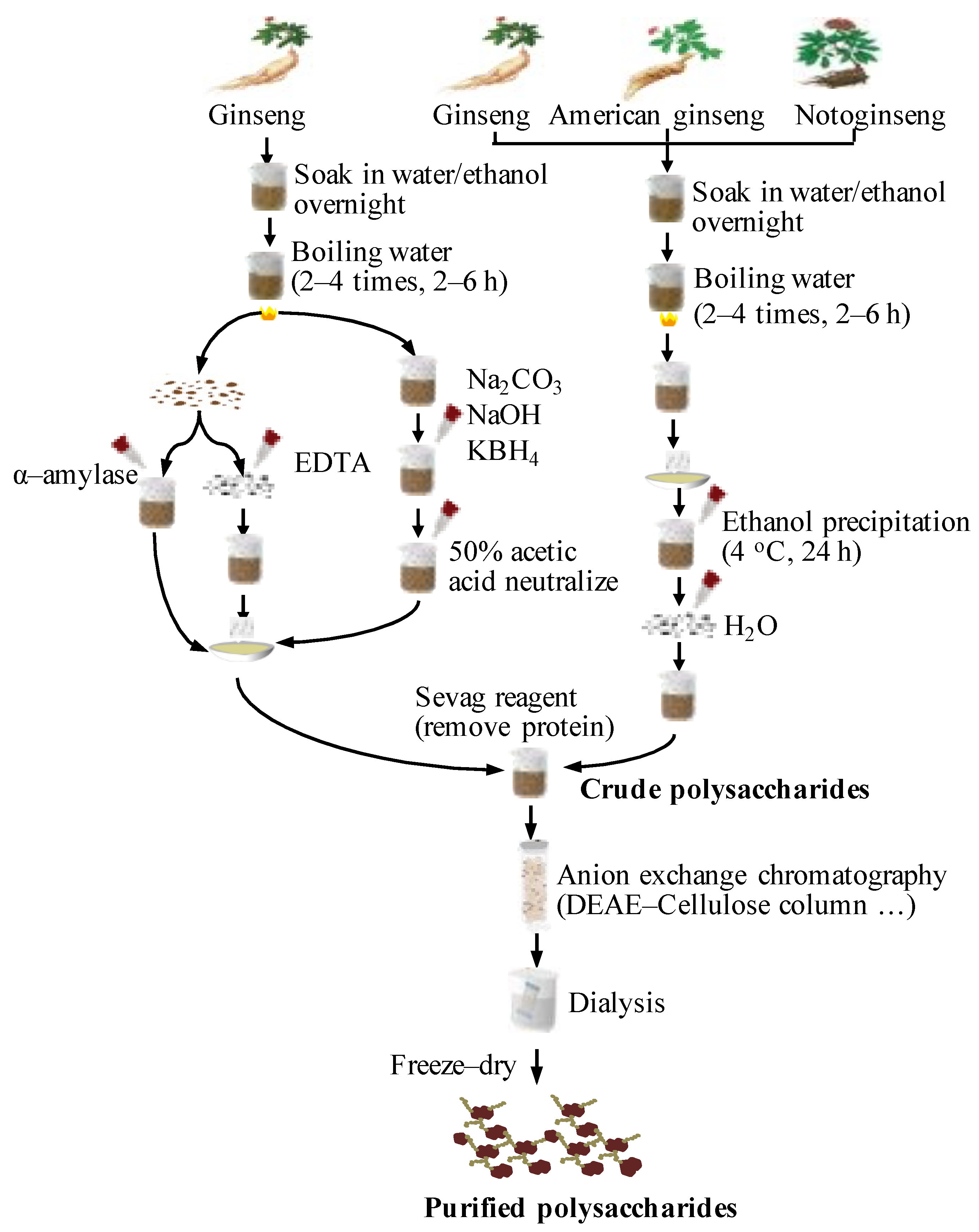 Molecules 26 04997 g001