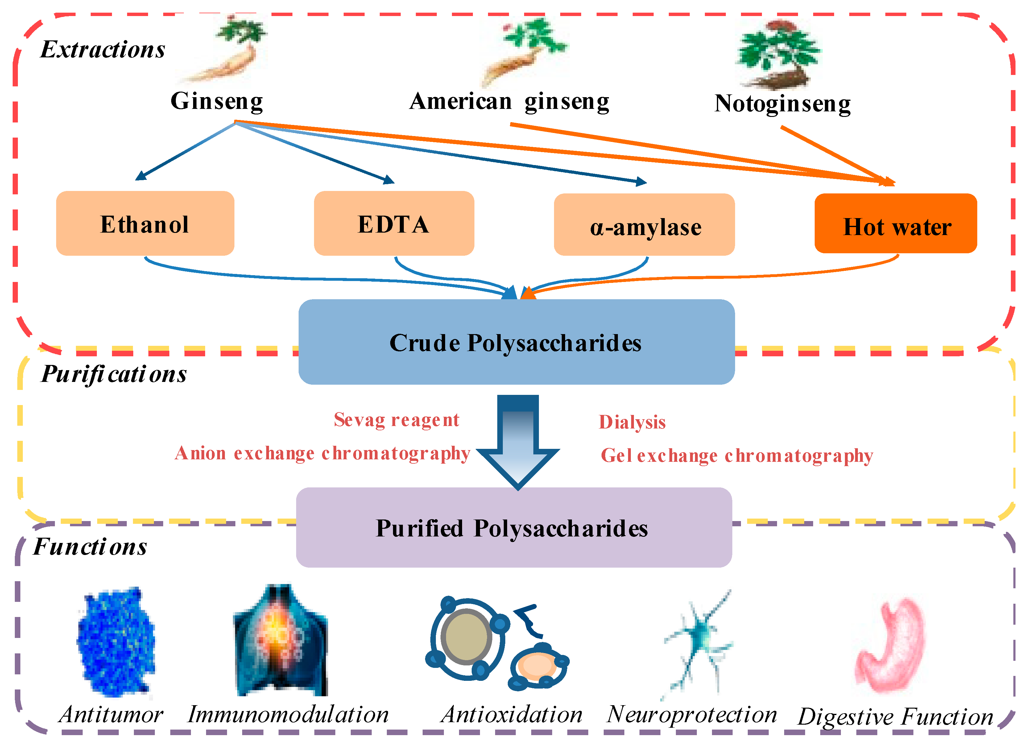 Molecules 26 04997 g003