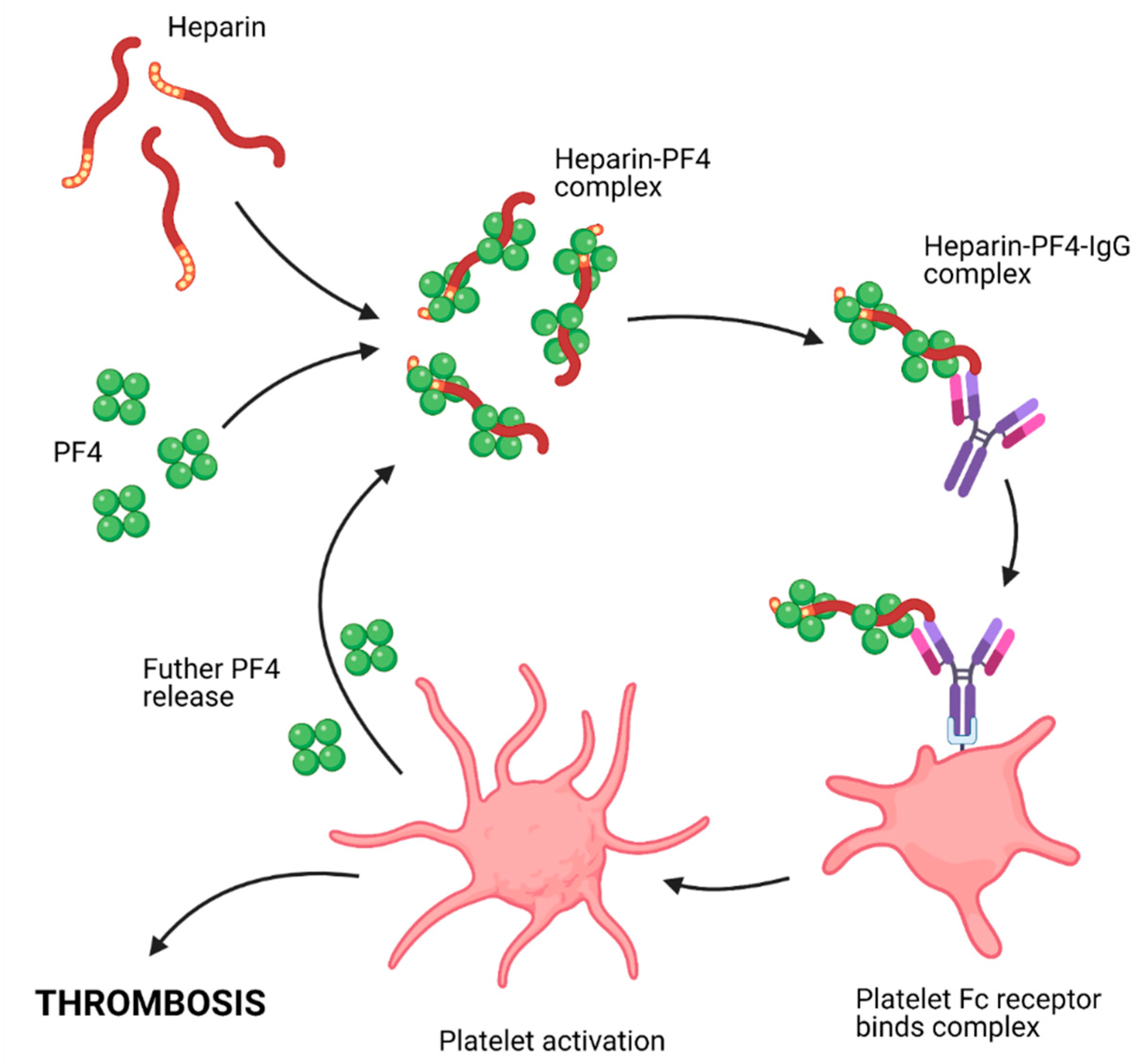 Thrombosis with thrombocytopenia syndrome