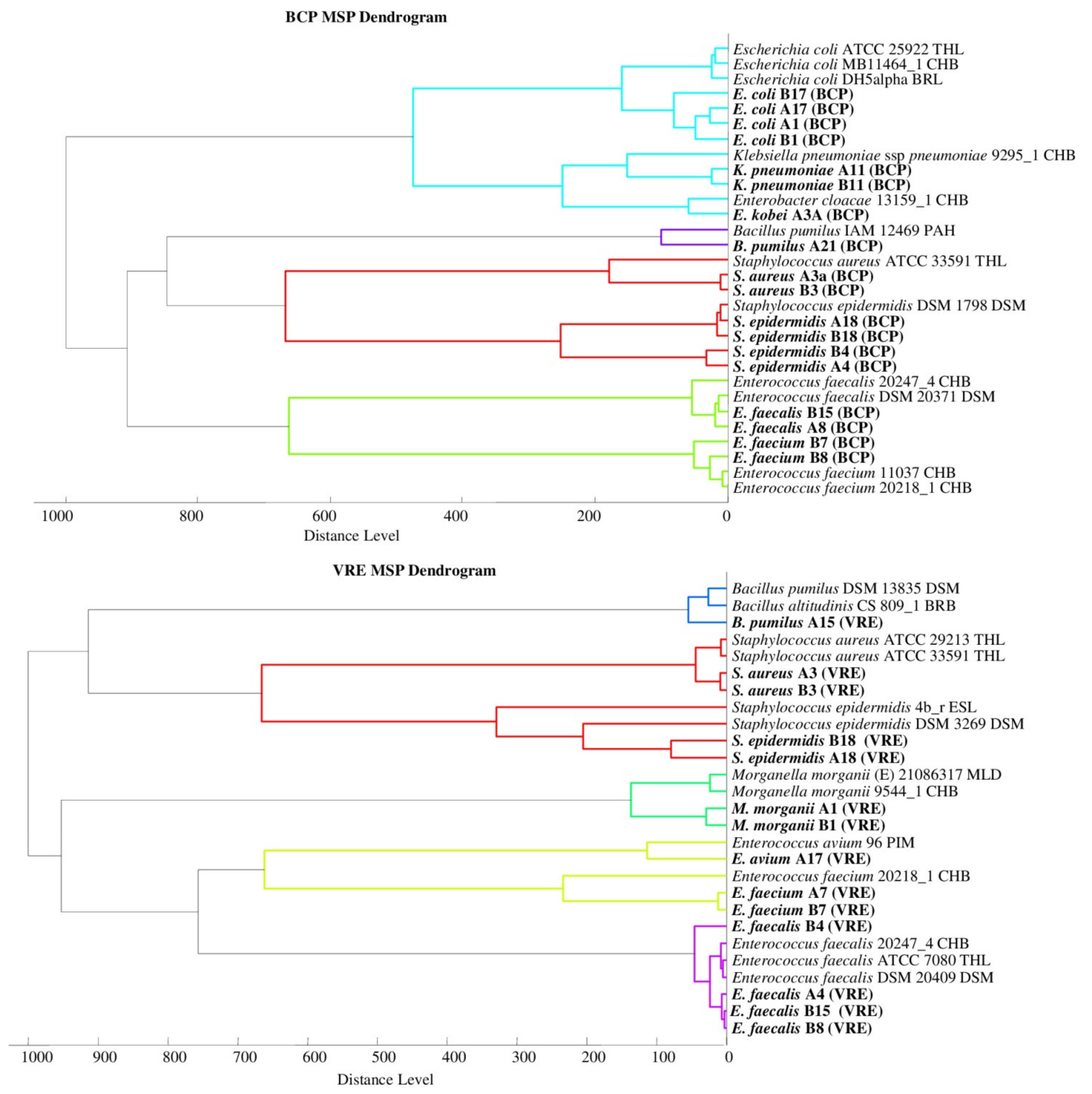 Molecules 26 05007 g002b Molecules 26 05007 g002b