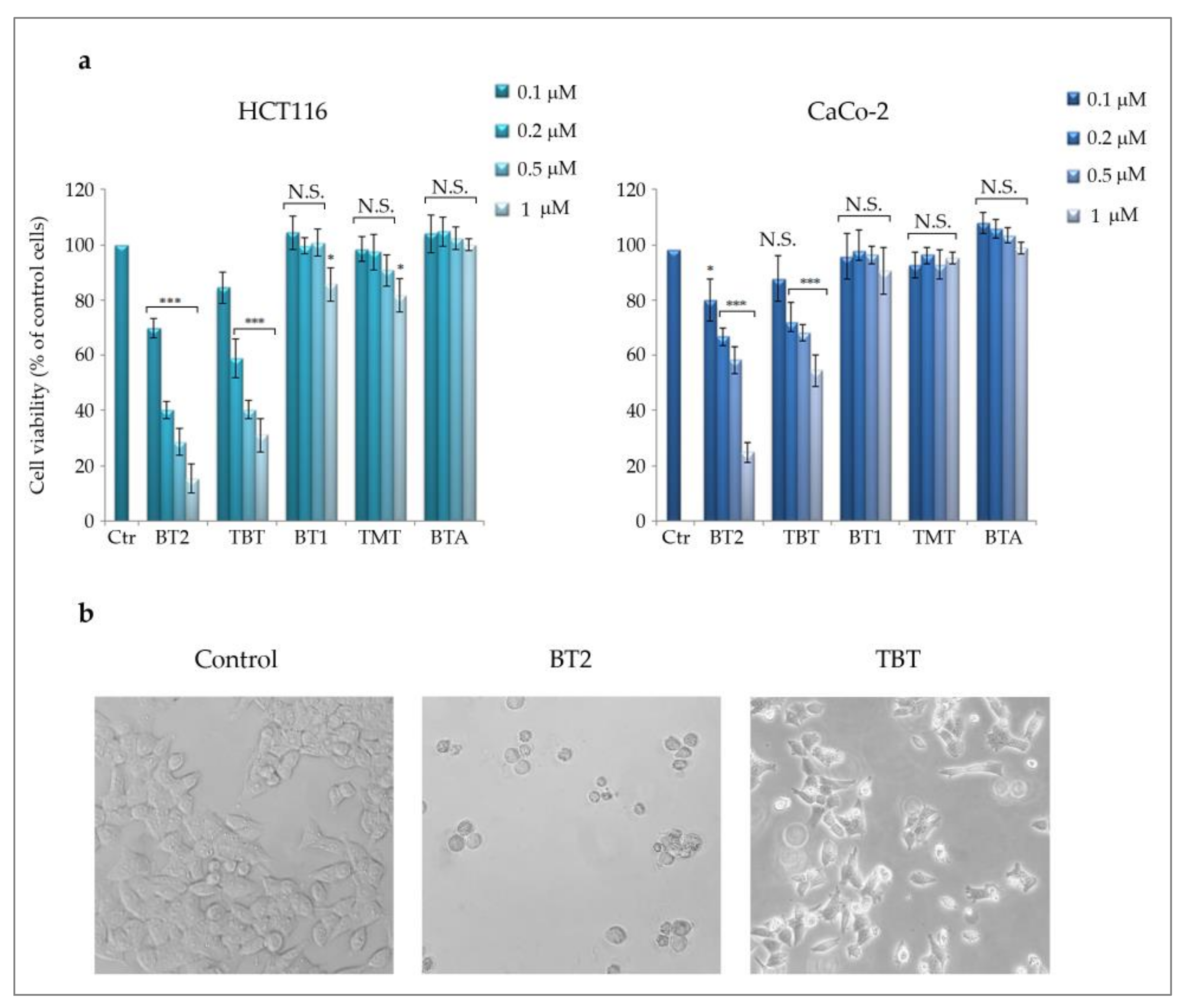 Molecules 26 05010 g003