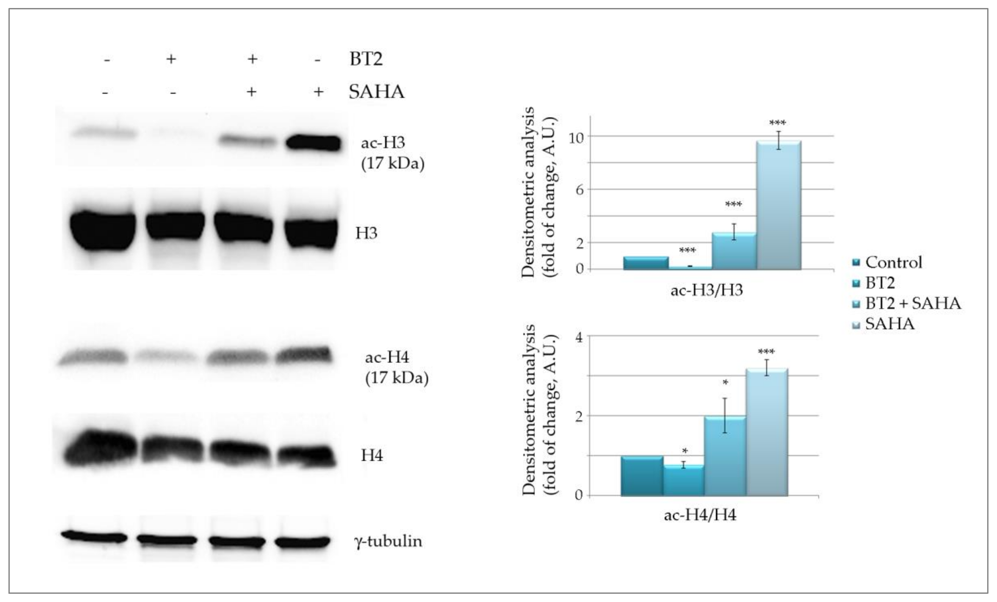 Molecules 26 05010 g007