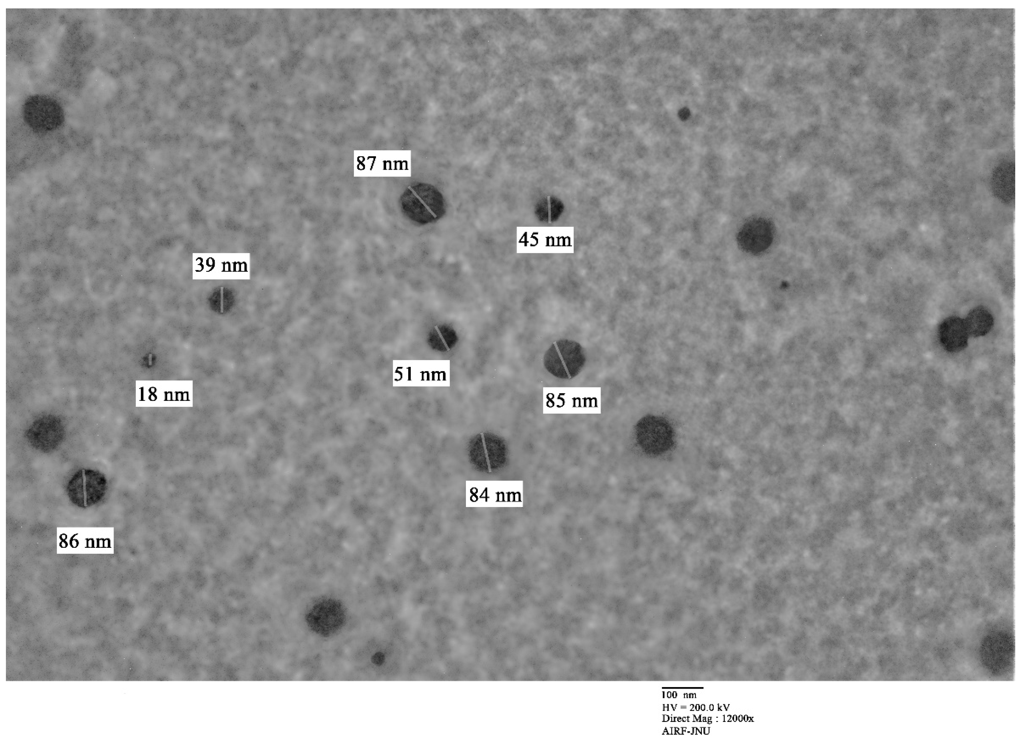 Molecules 26 05011 g004