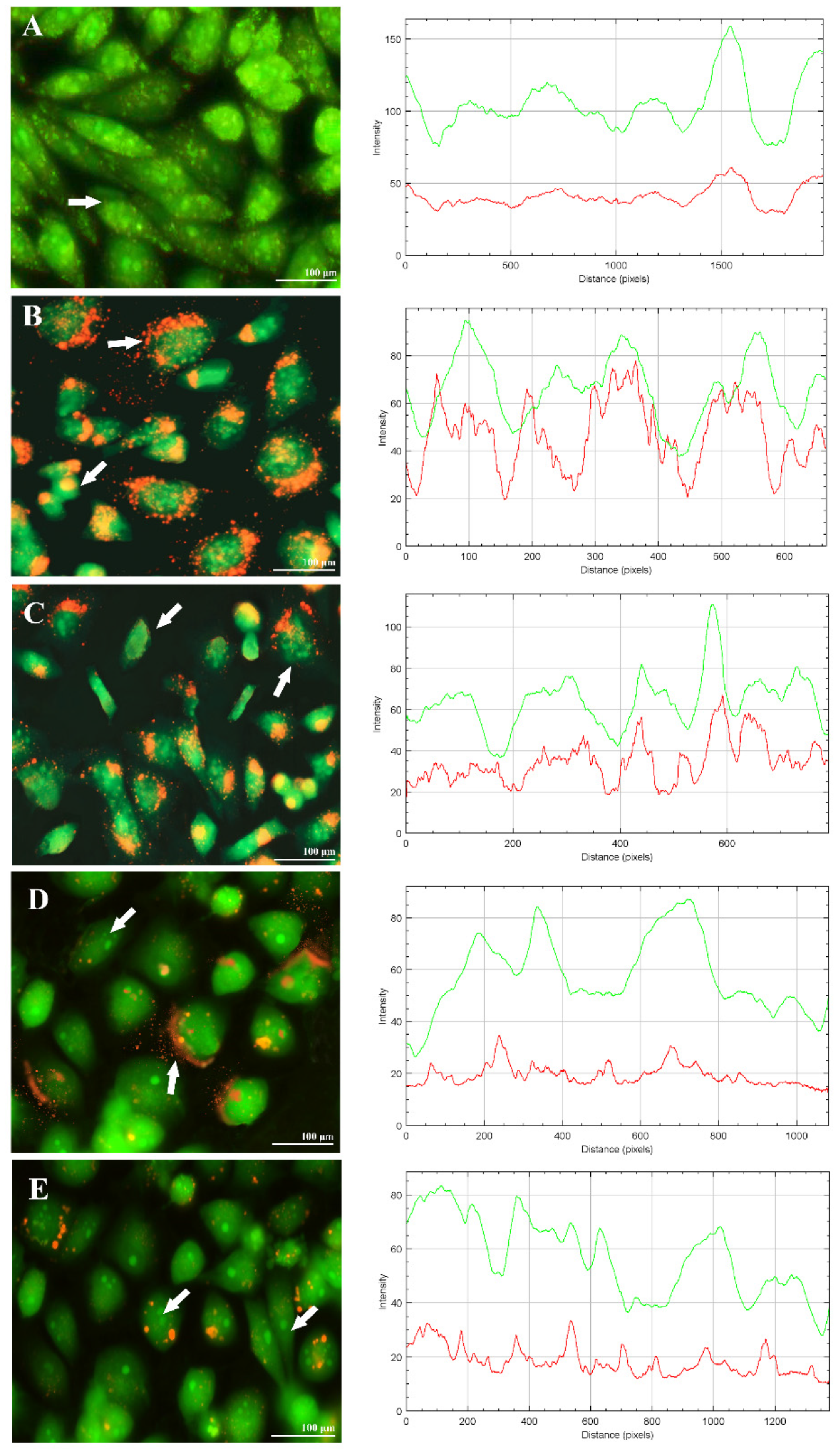 Molecules 26 05011 g006