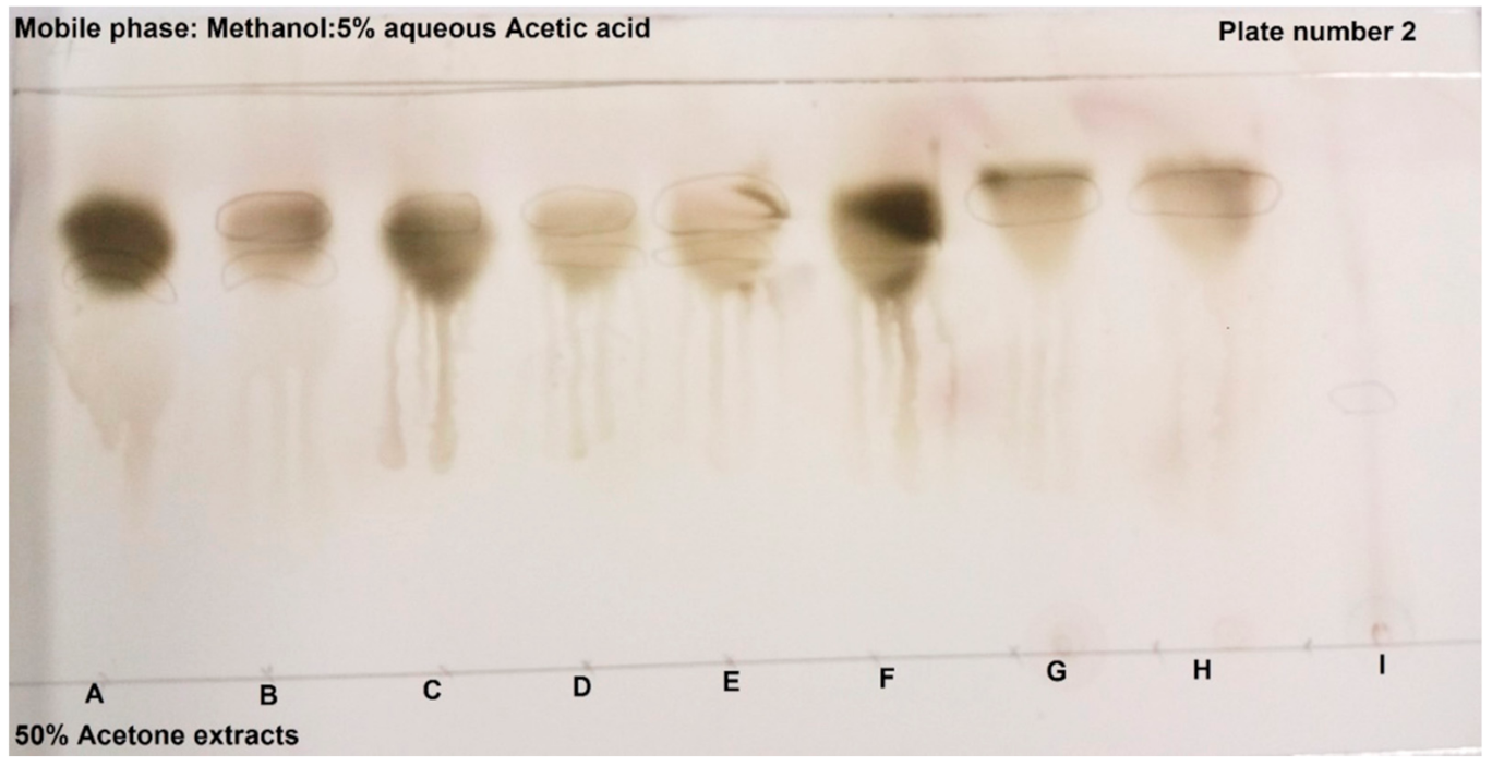 Molecules 26 05012 g002 550