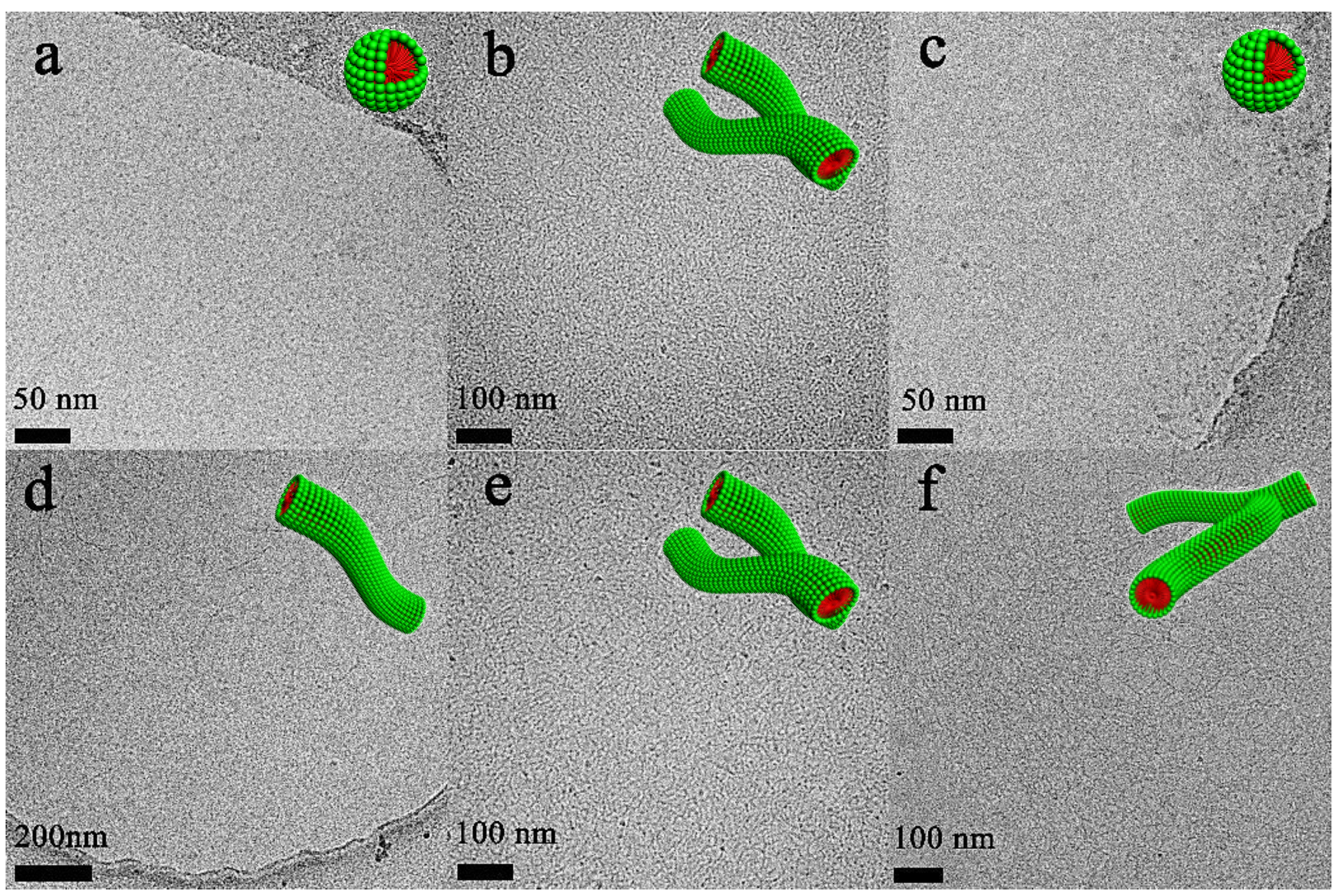 Molecules 26 05013 g003 550