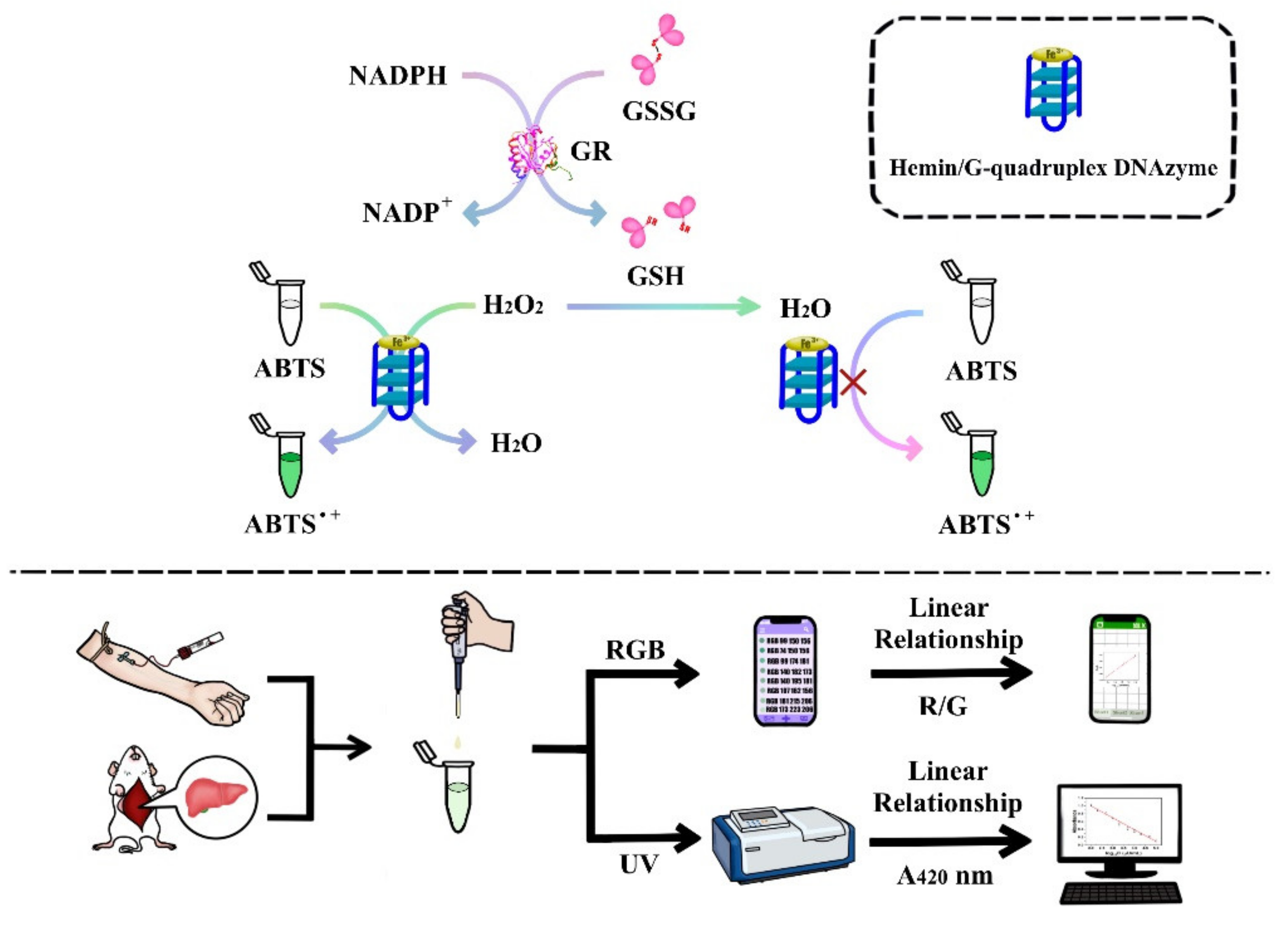 Molecules 26 05016 sch001 550