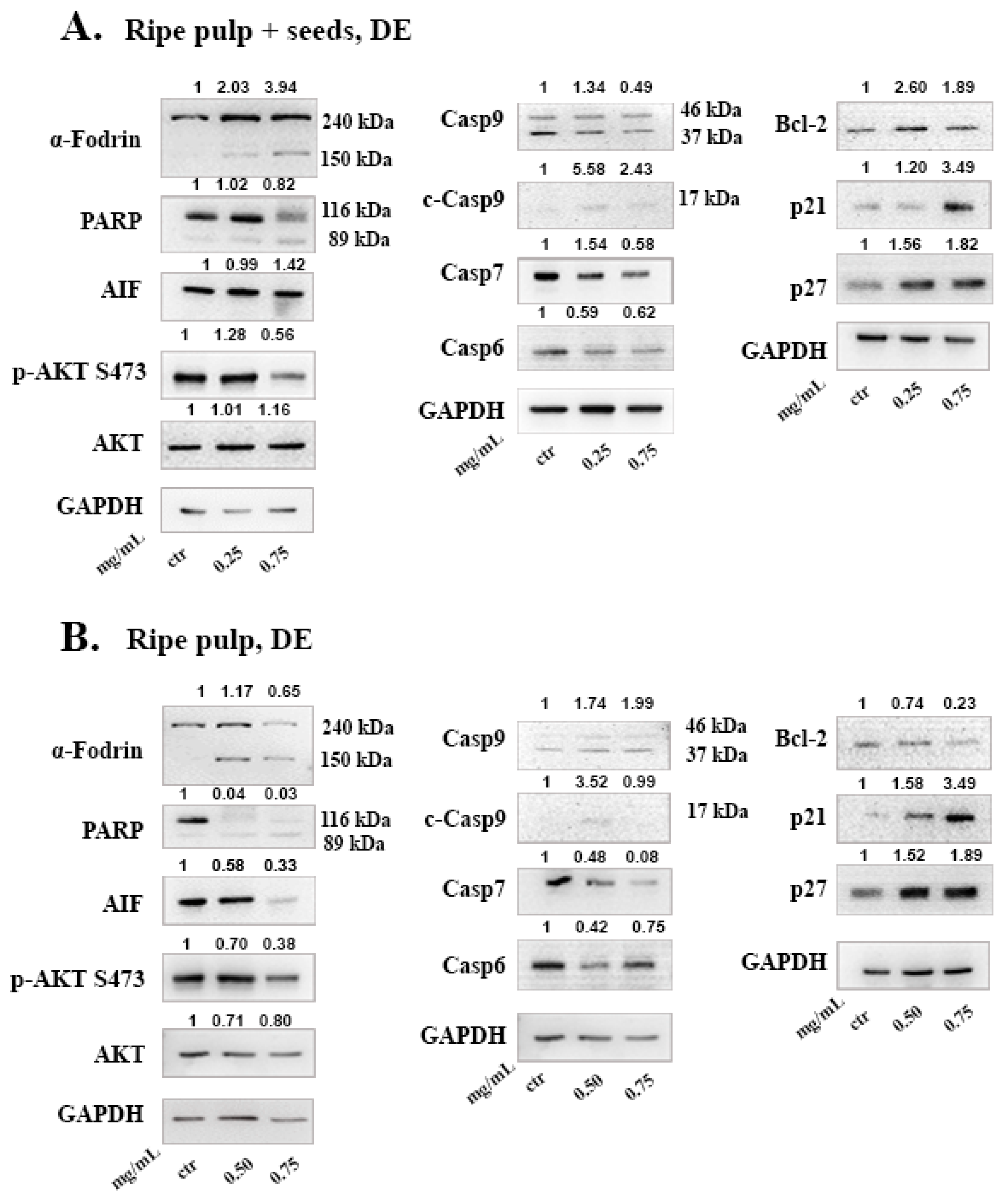 Molecules 26 05017 g004