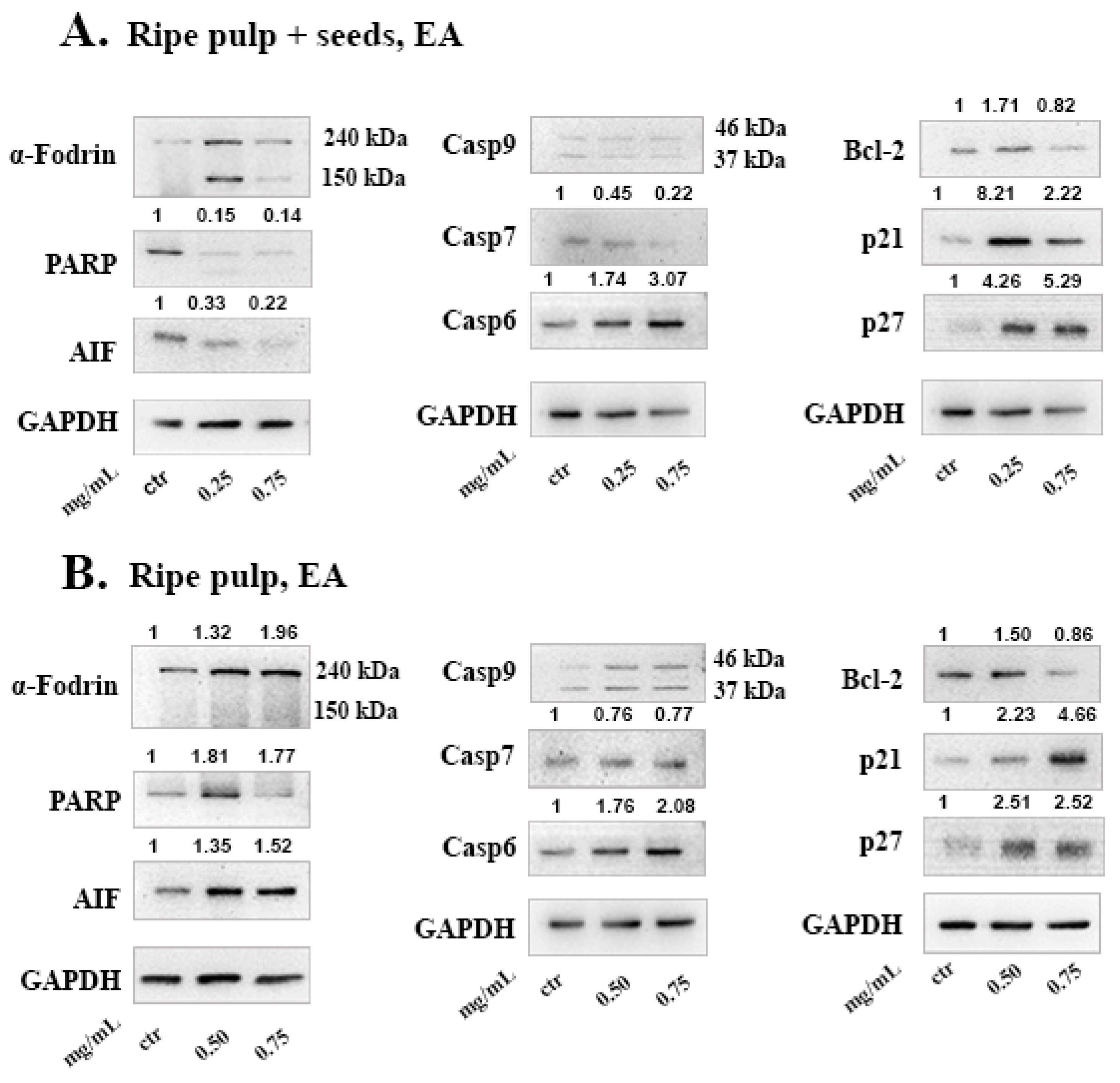 Molecules 26 05017 g005