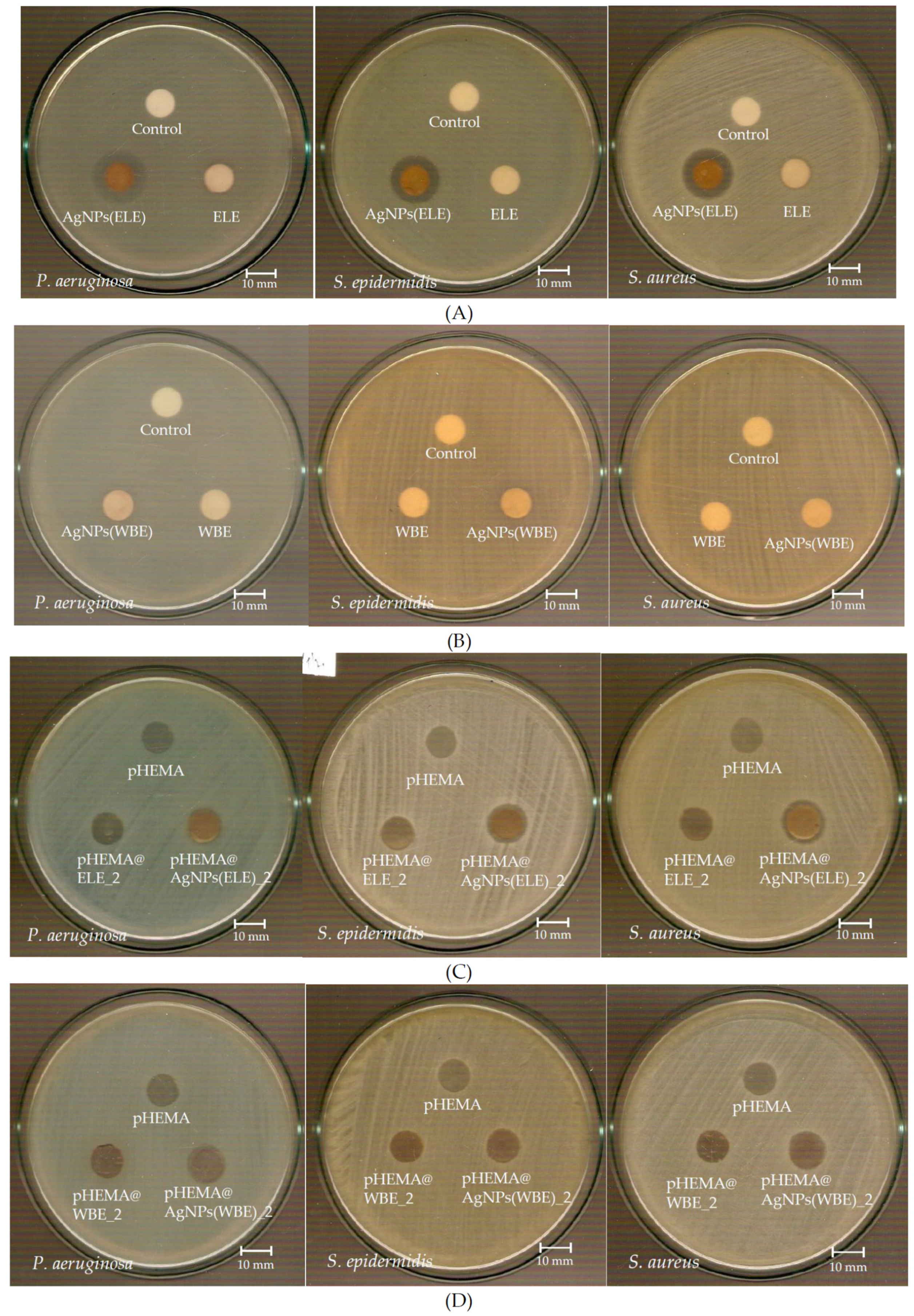 Molecules 26 05022 g006 550