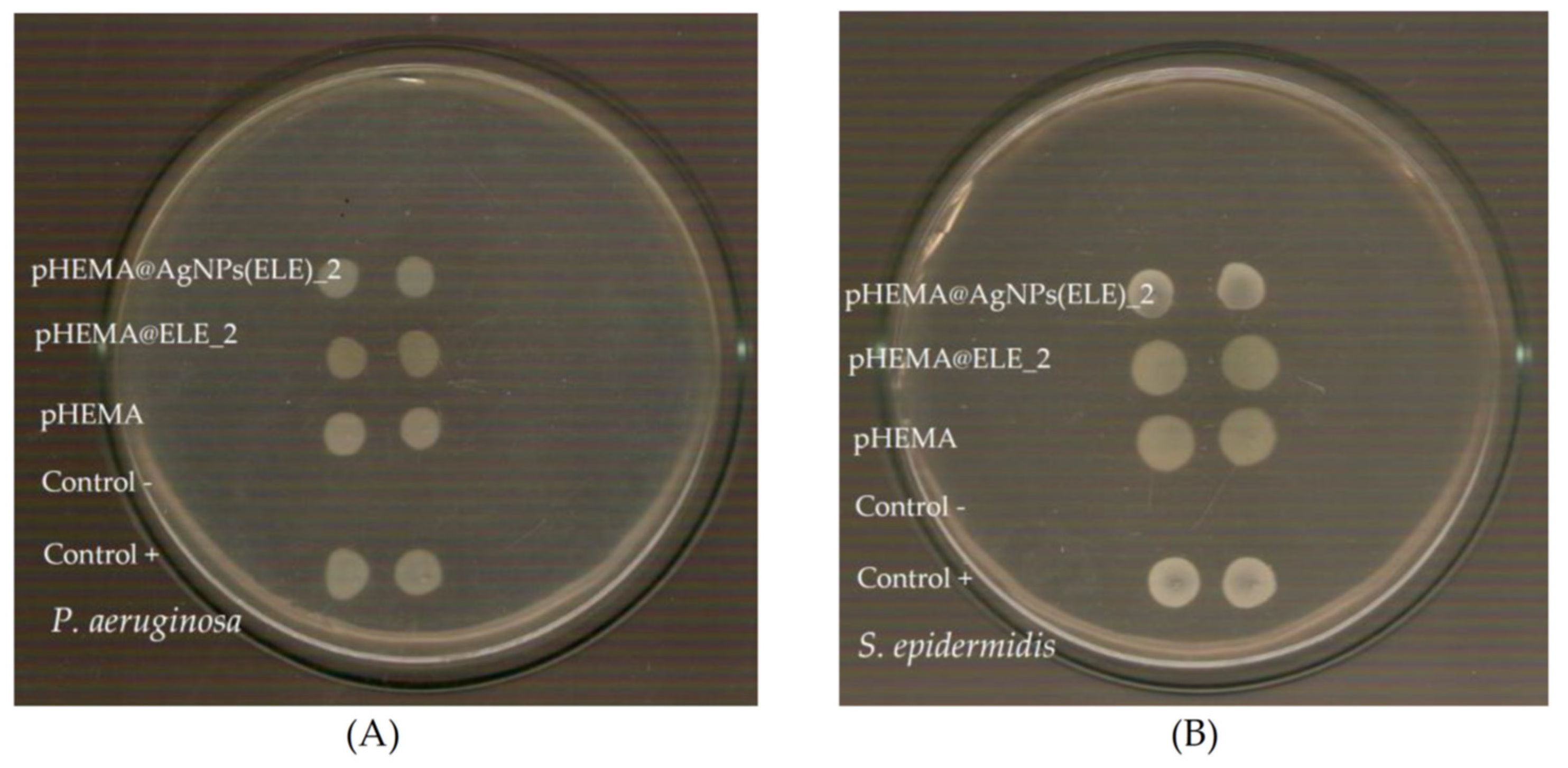 Molecules 26 05022 g007 550