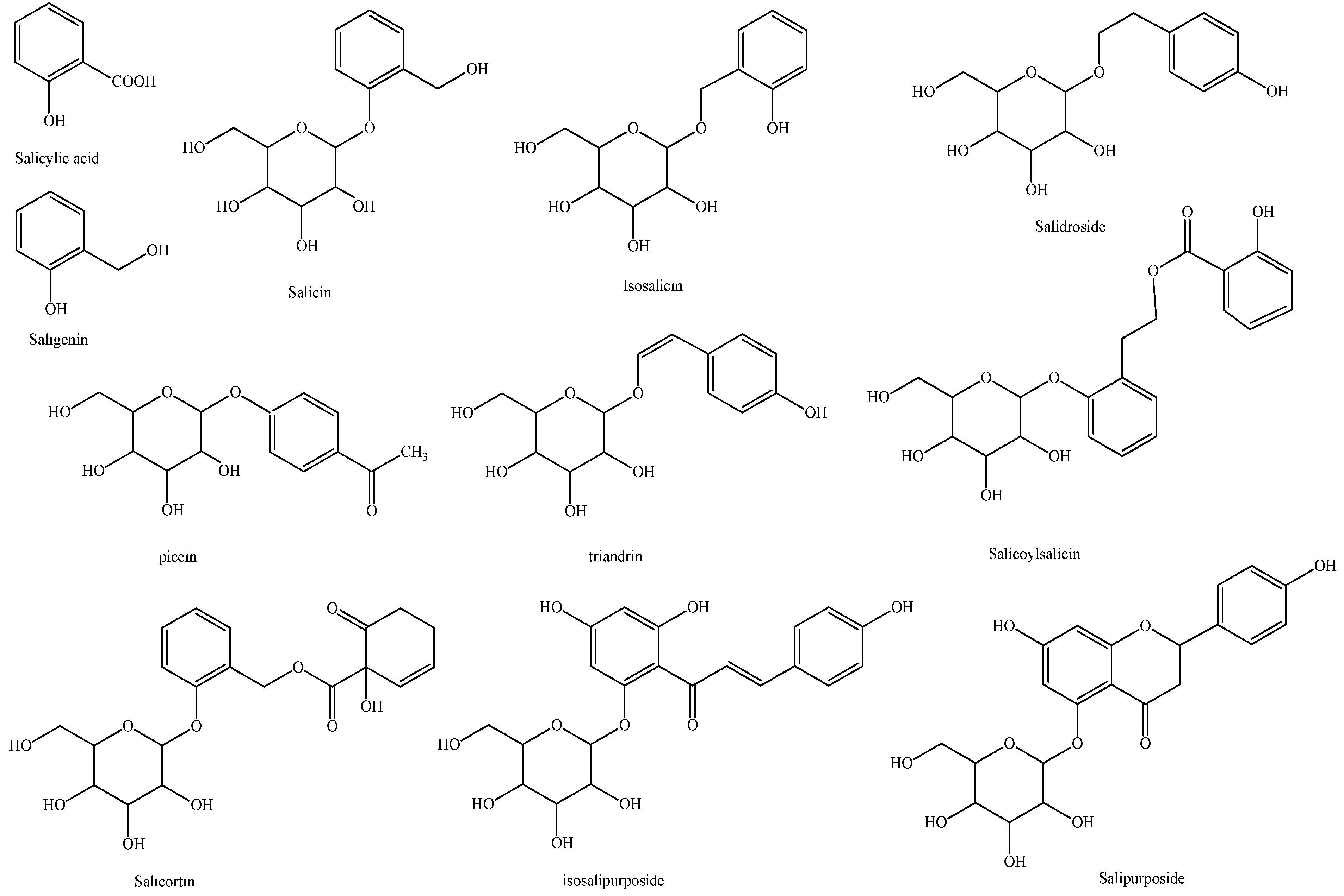 Molecules 26 05022 sch002 550