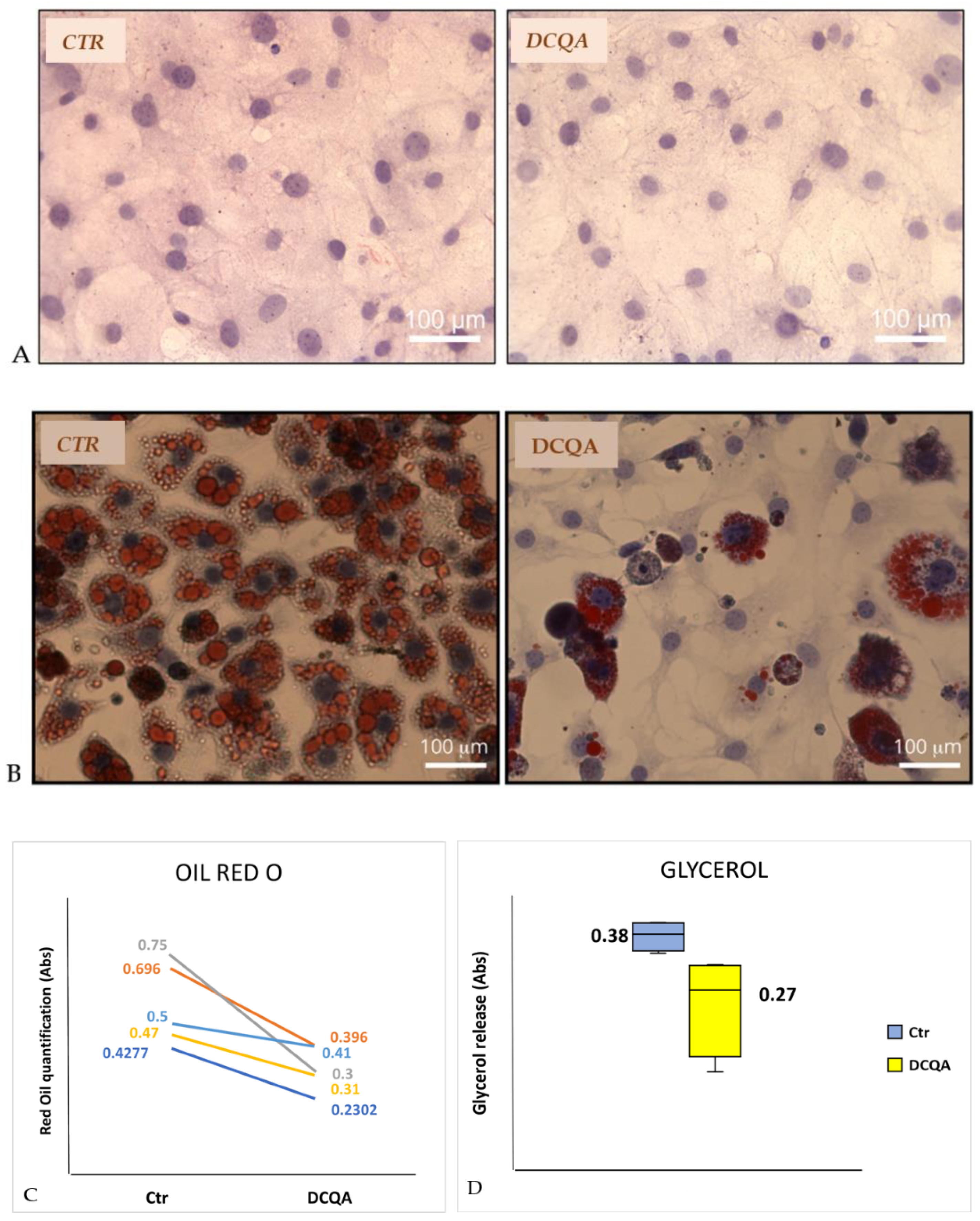 Molecules 26 05027 g002 Molecules 26 05027 g002