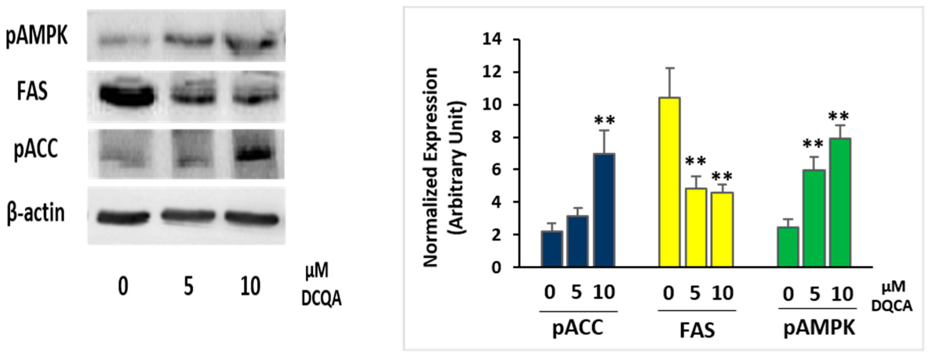 Molecules 26 05027 g003 Molecules 26 05027 g003