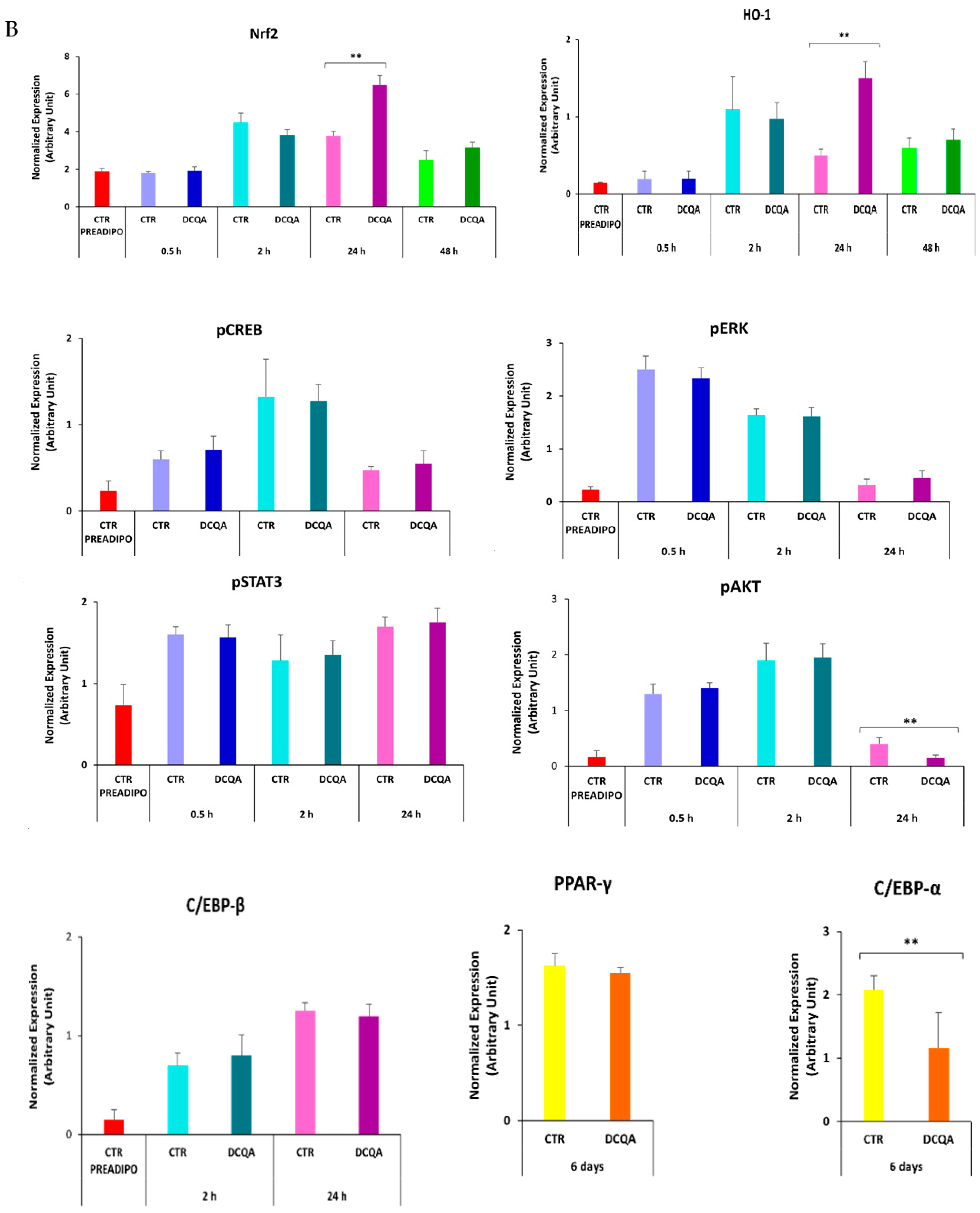 Molecules 26 05027 g005b Molecules 26 05027 g005b