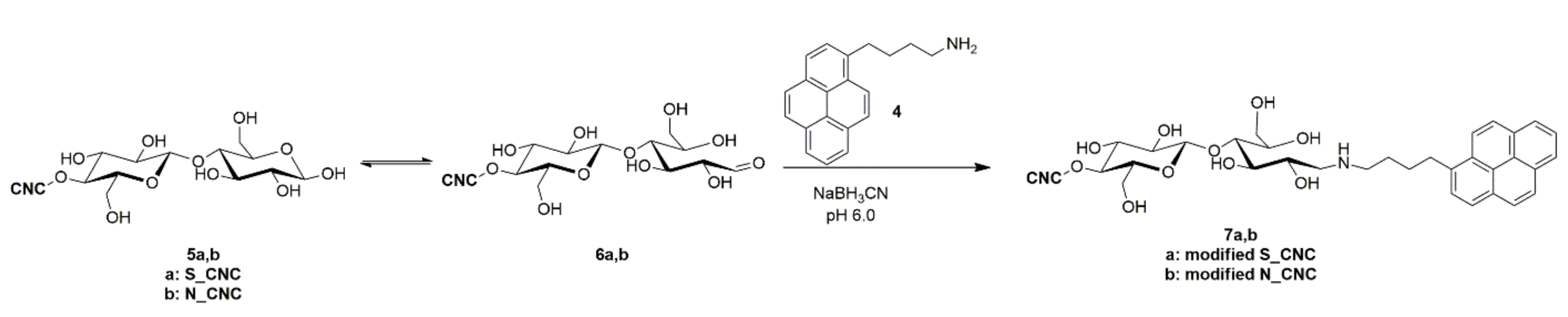 Molecules 26 05032 sch002
