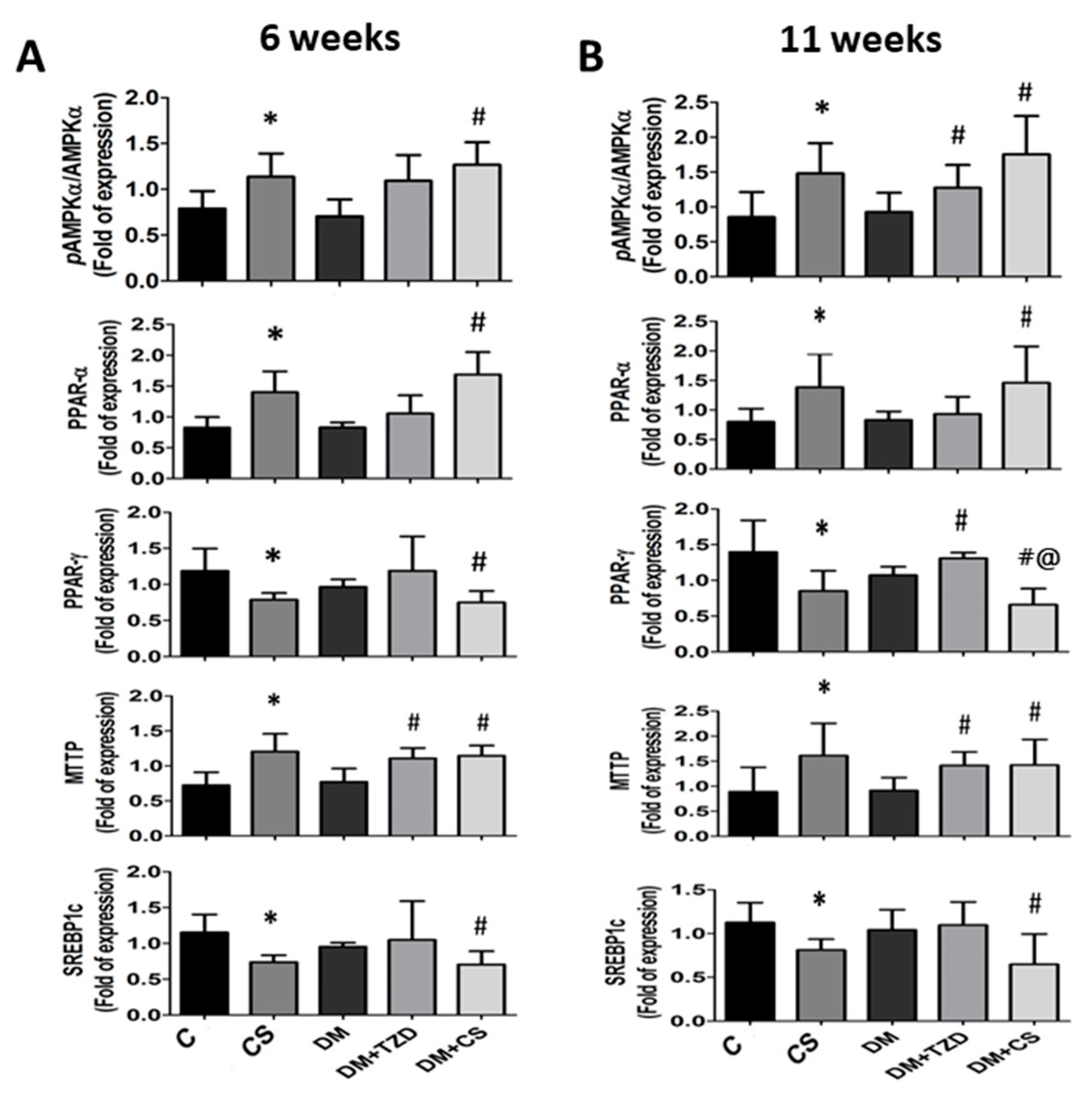 Molecules 26 05033 g002