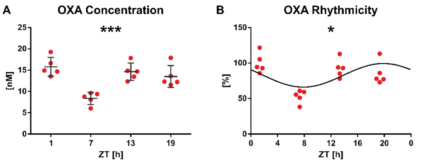 Molecules 26 05036 g004 550