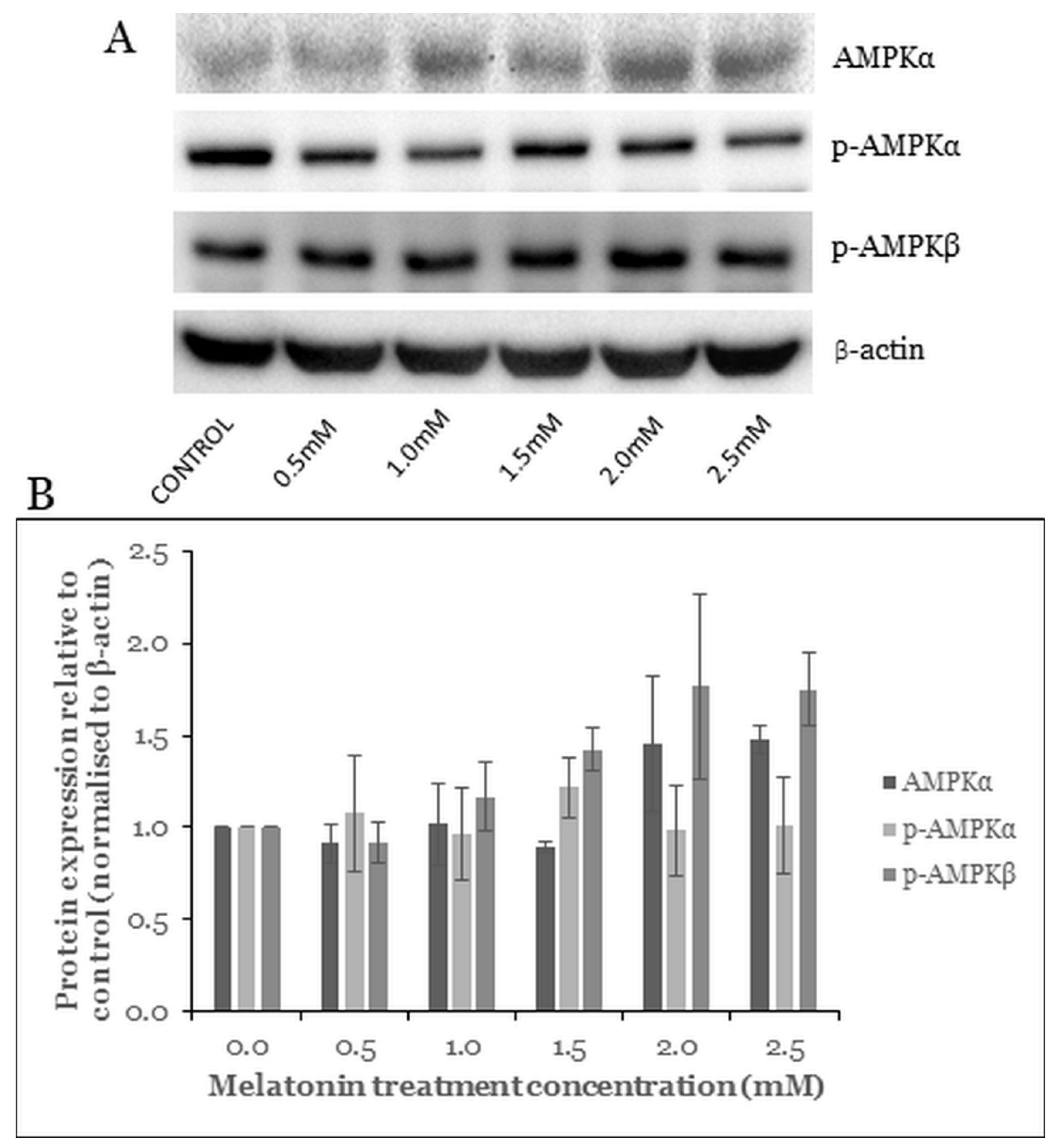 Molecules 26 05038 g005