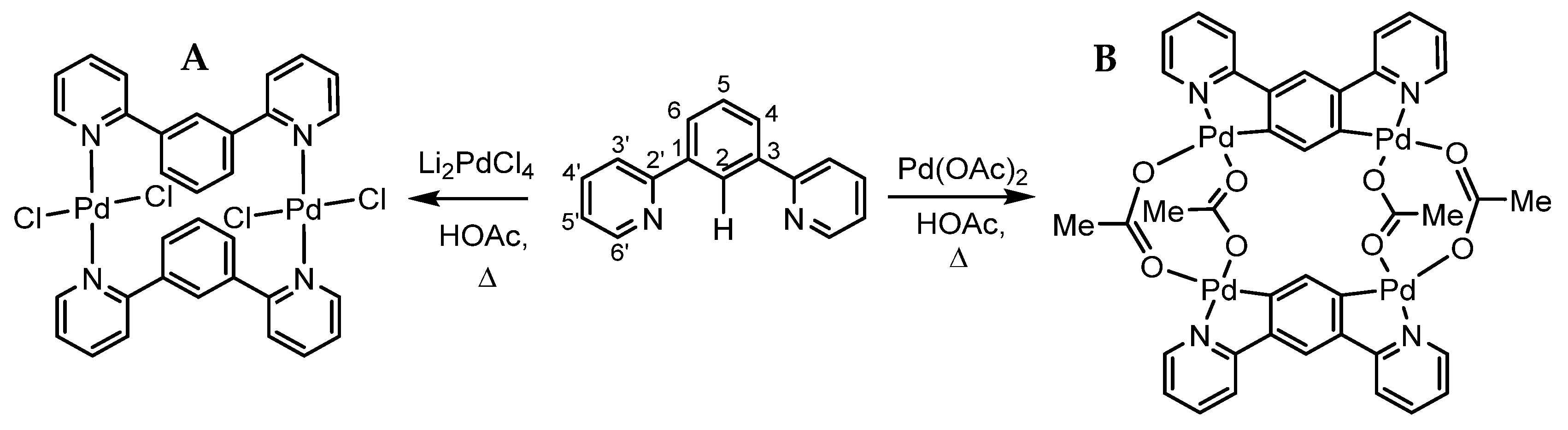 Molecules 26 05051 sch002