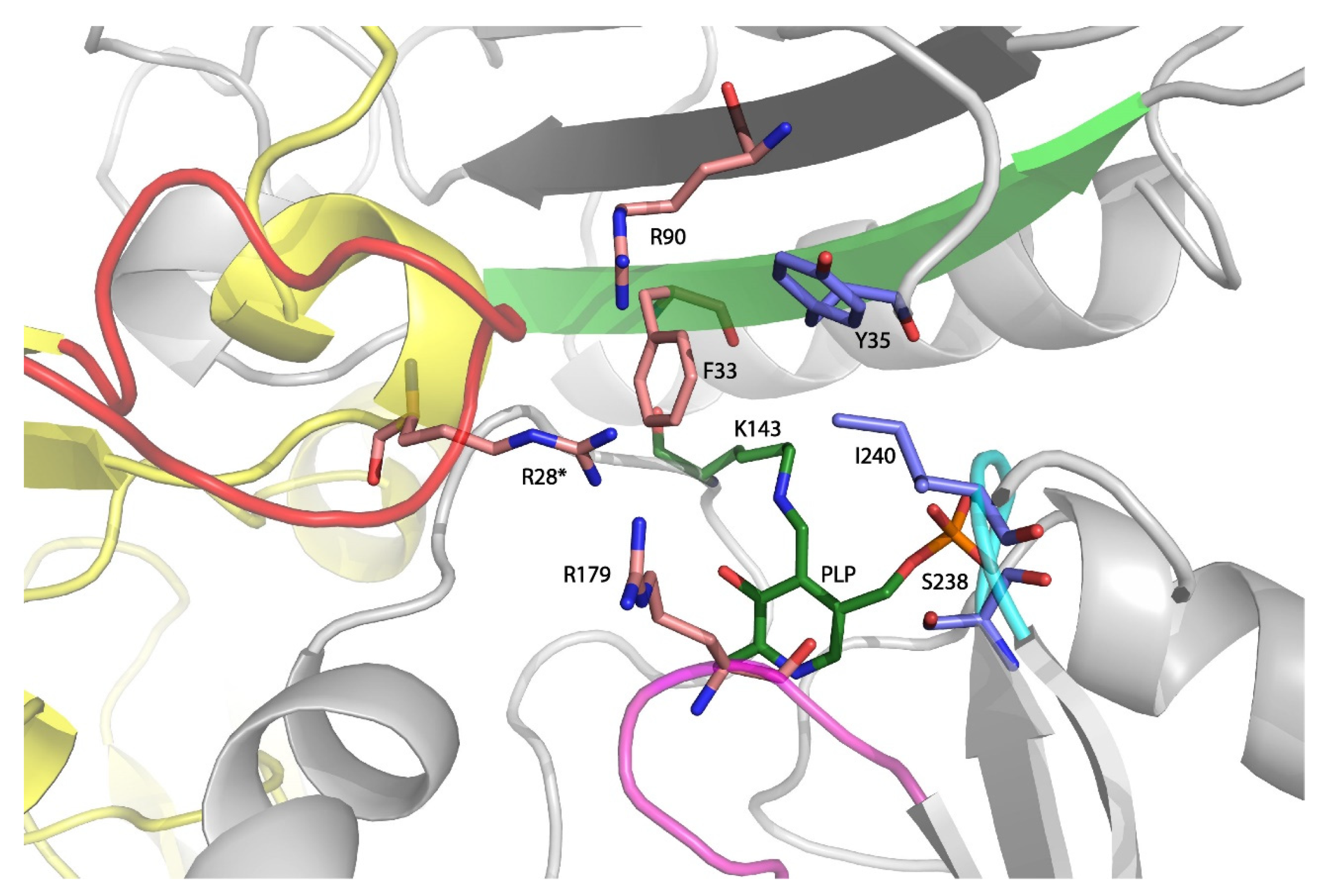 Molecules 26 05053 g003 550