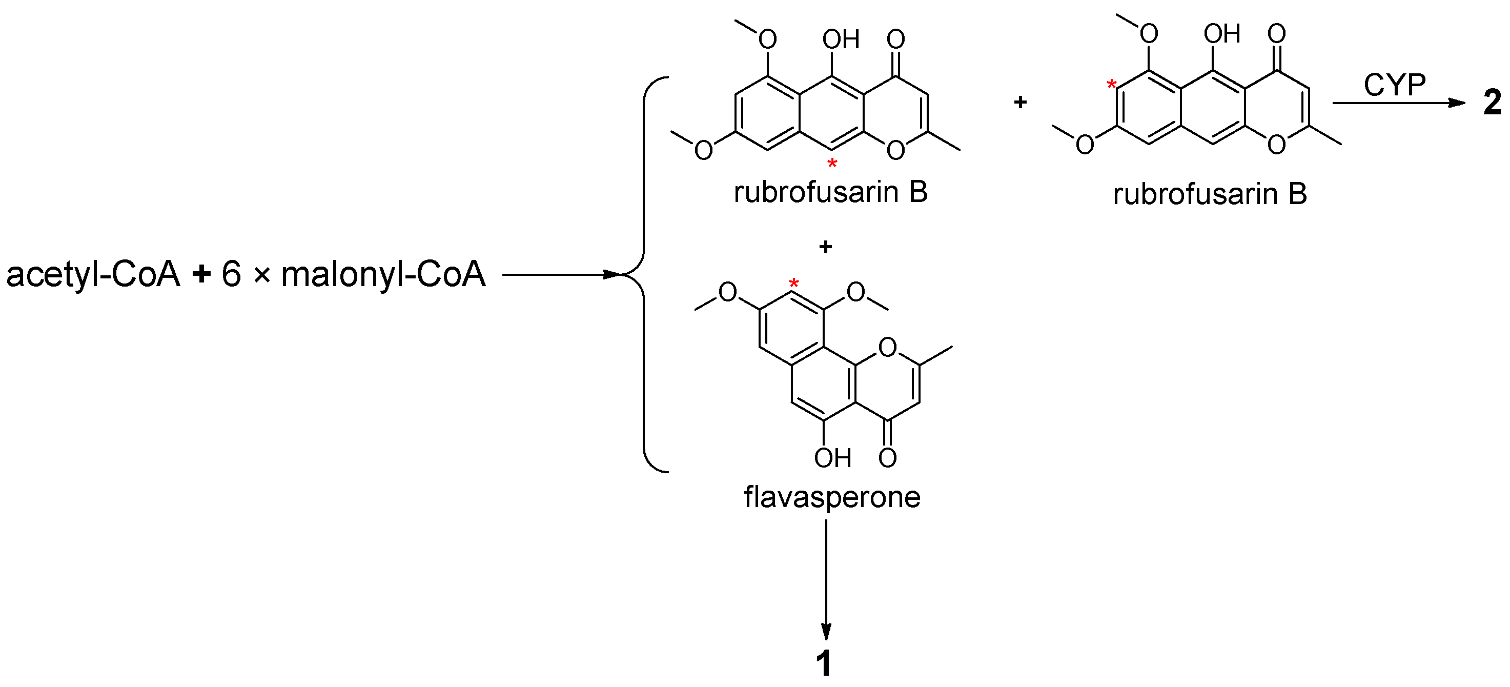 Molecules 26 05061 g004