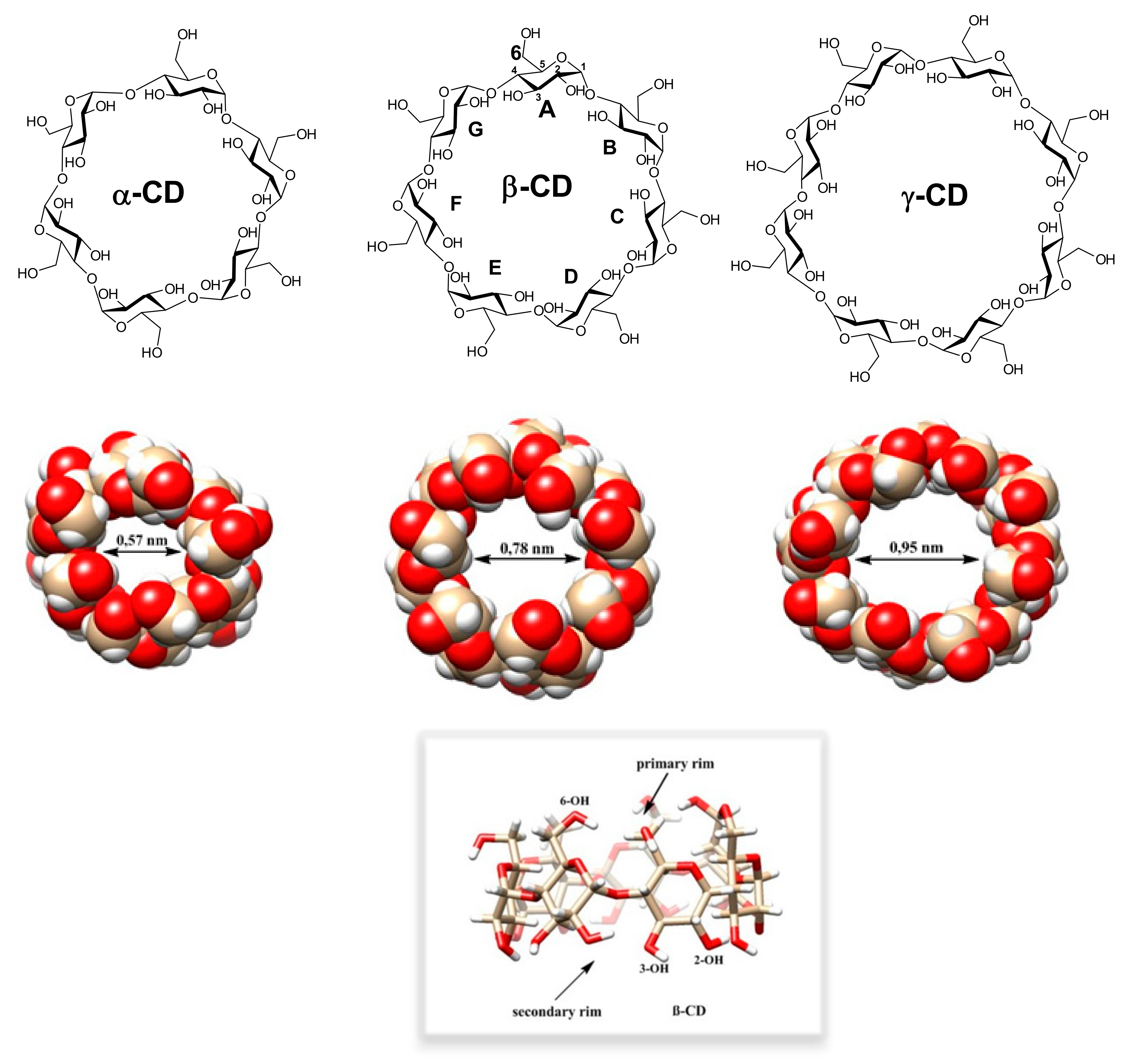 Molecules 26 05065 g001