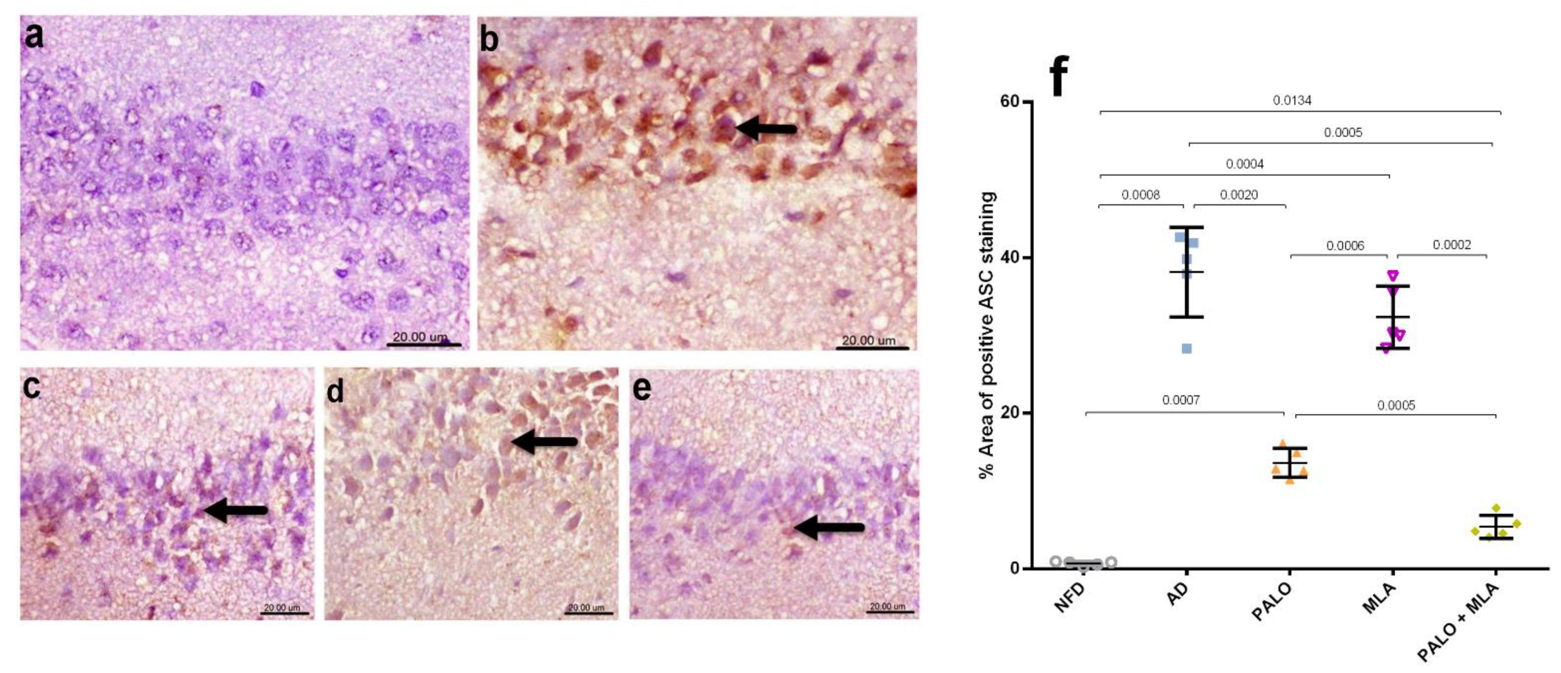 Molecules 26 05068 g006 550