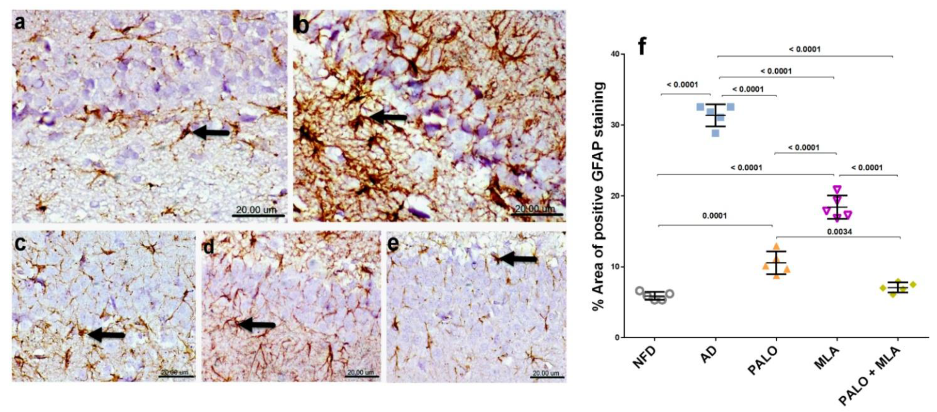Molecules 26 05068 g010 550