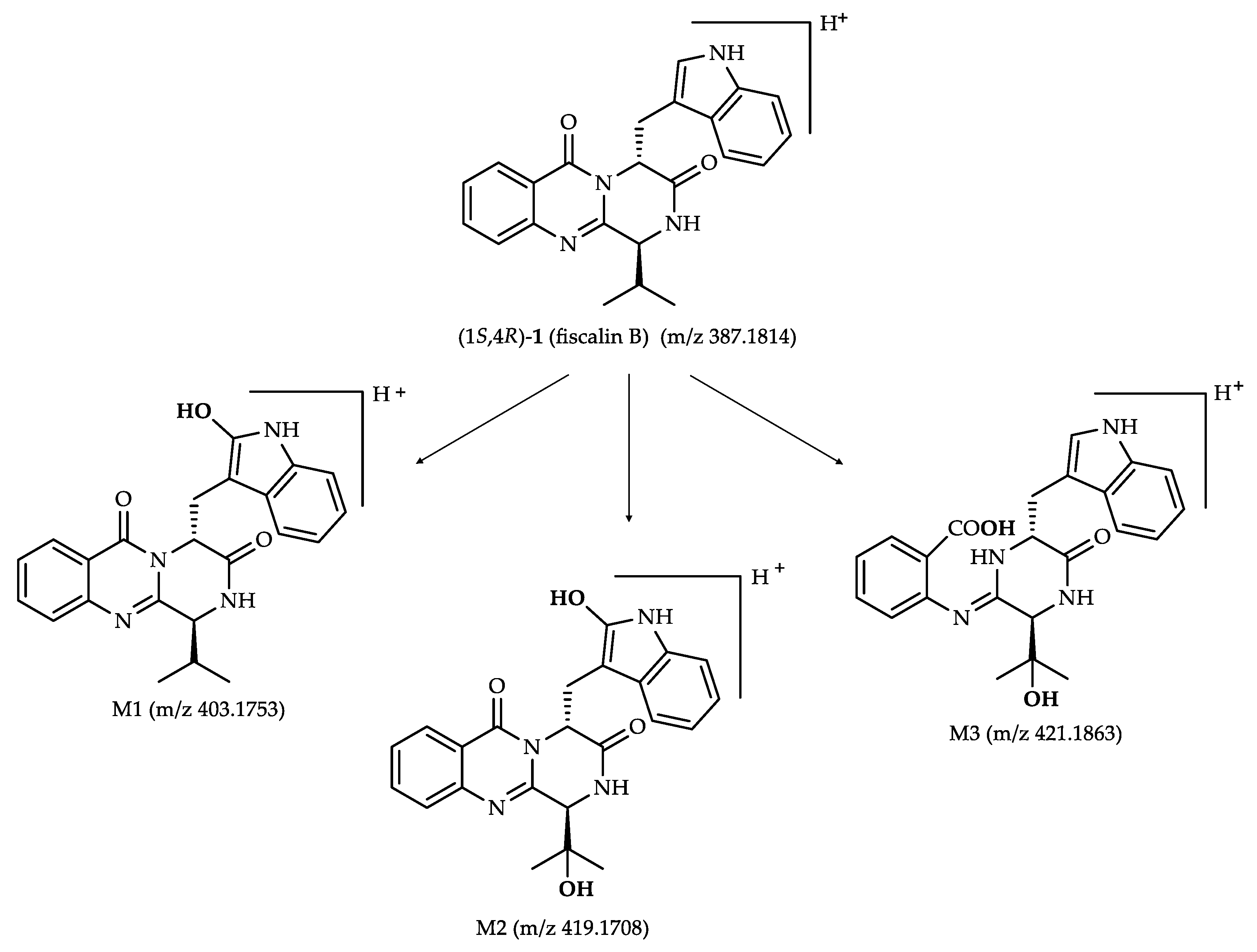 Molecules 26 05070 g003 550